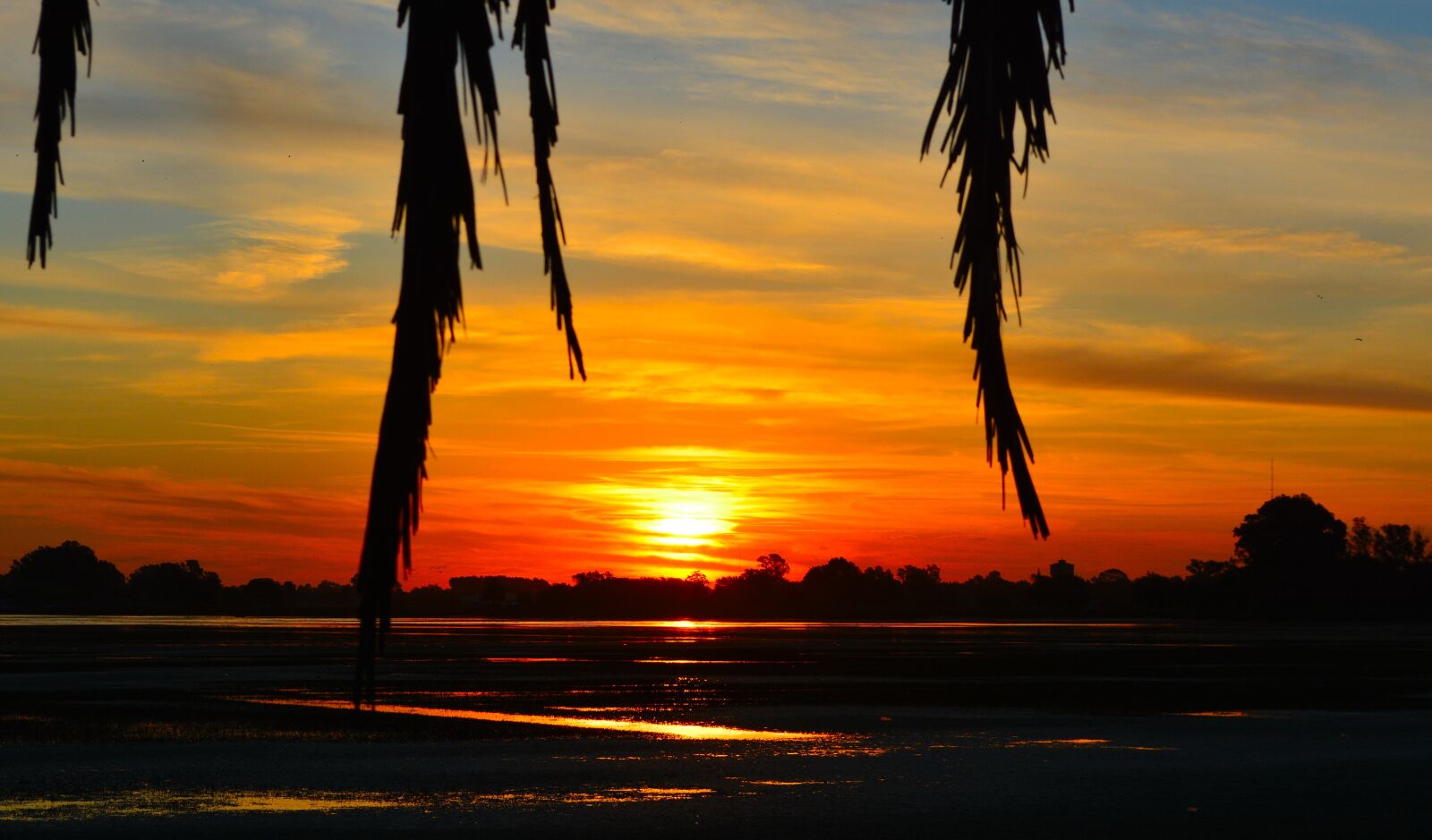 Nikon D5200 sample photo. Sunset, sun, landscape photography