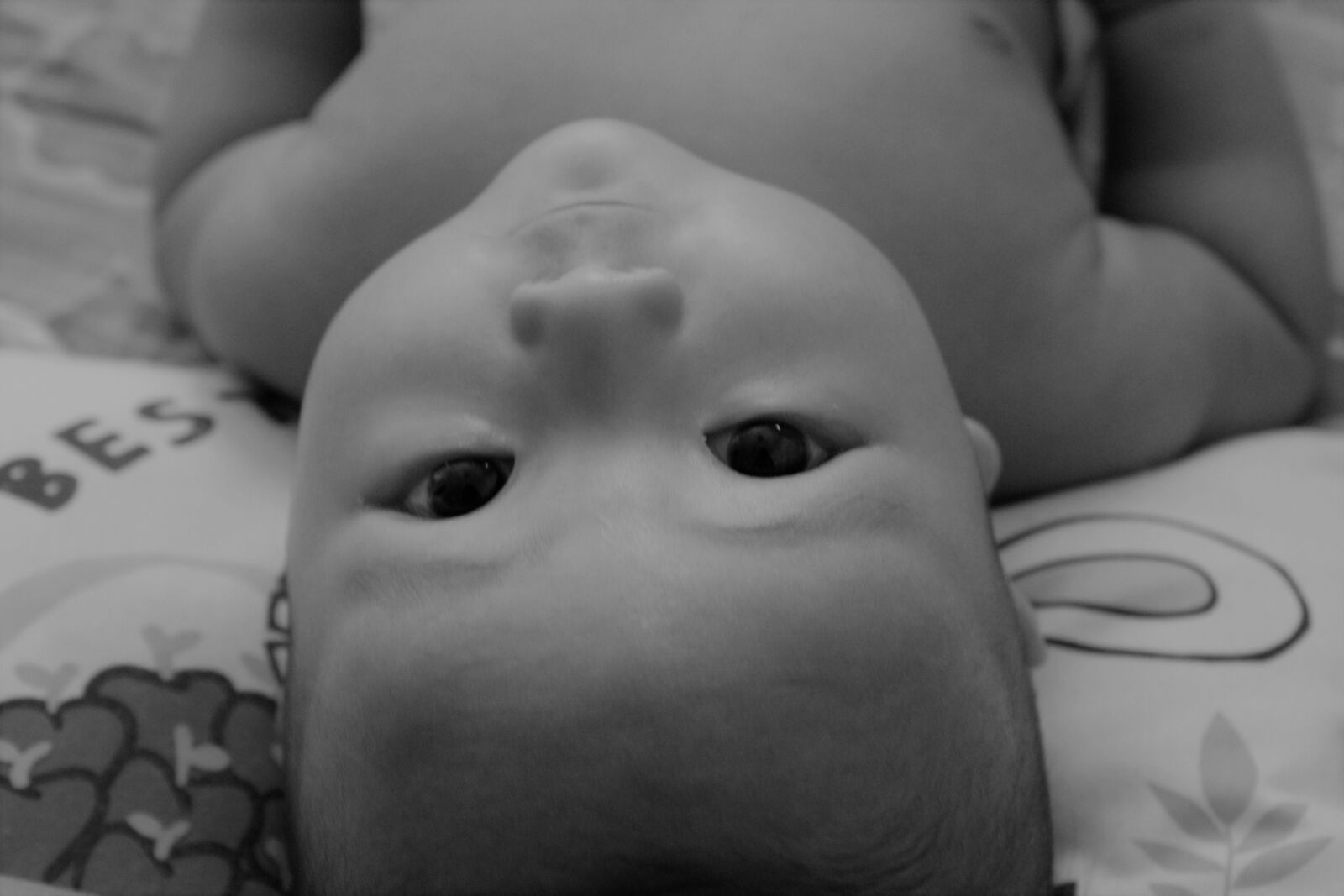 Canon EOS 550D (EOS Rebel T2i / EOS Kiss X4) sample photo. Baby, black, and, white photography