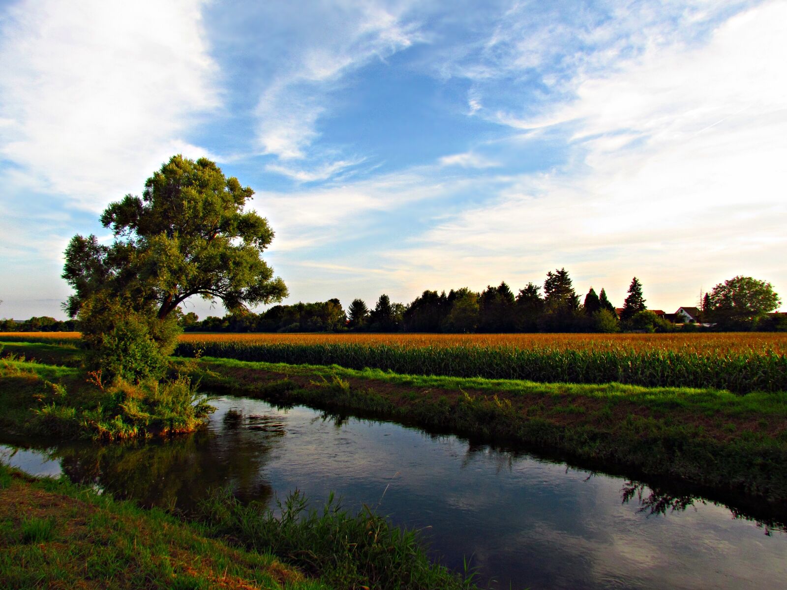 Canon PowerShot SX30 IS sample photo. Landscape, tree, water photography
