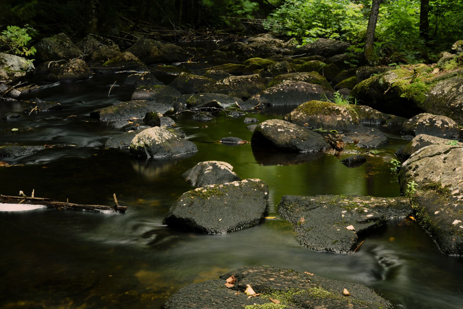 Nikon D810 sample photo. Water courses, creek, nature photography