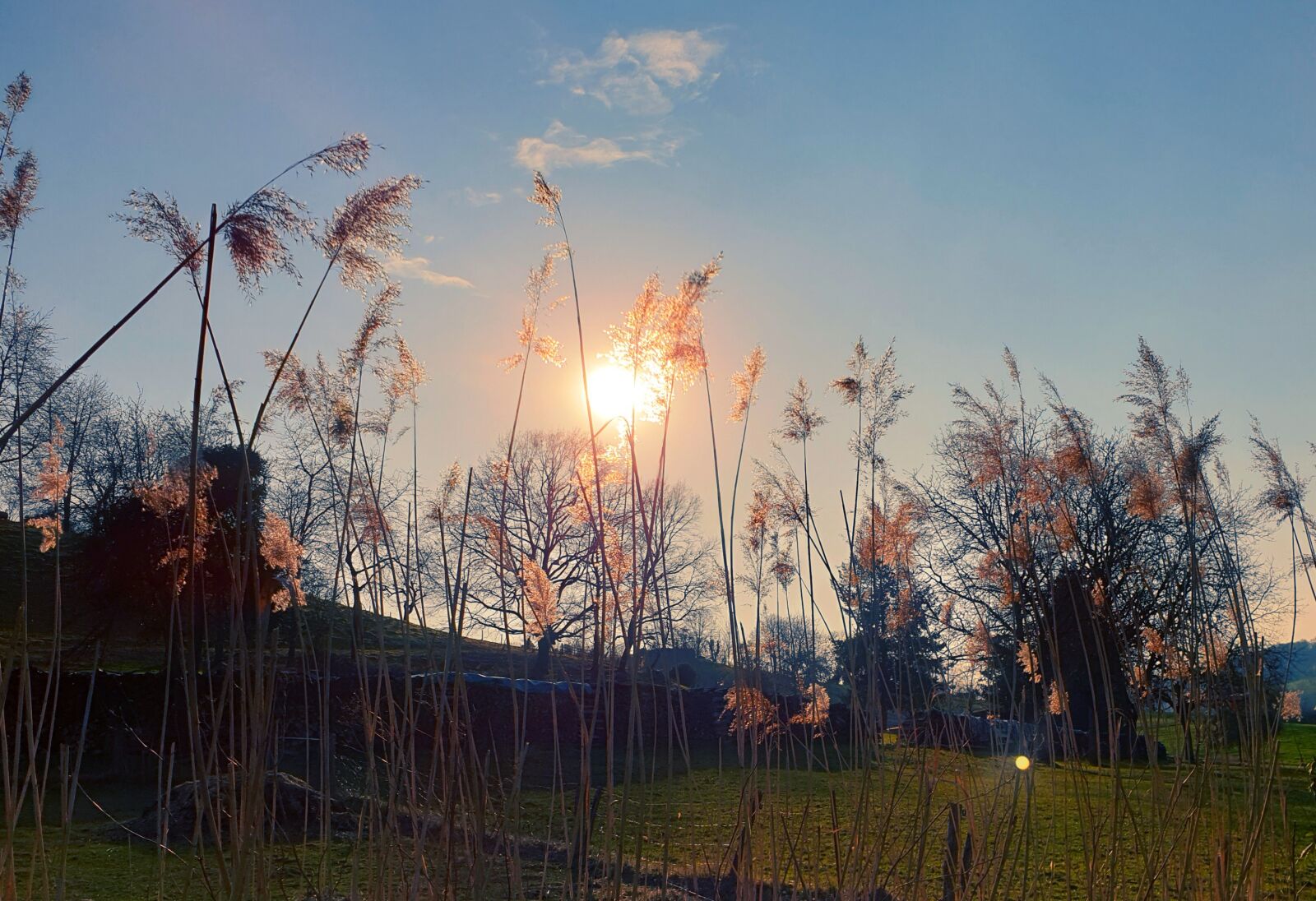 Samsung Galaxy S9 sample photo. Spring, sun, nature photography