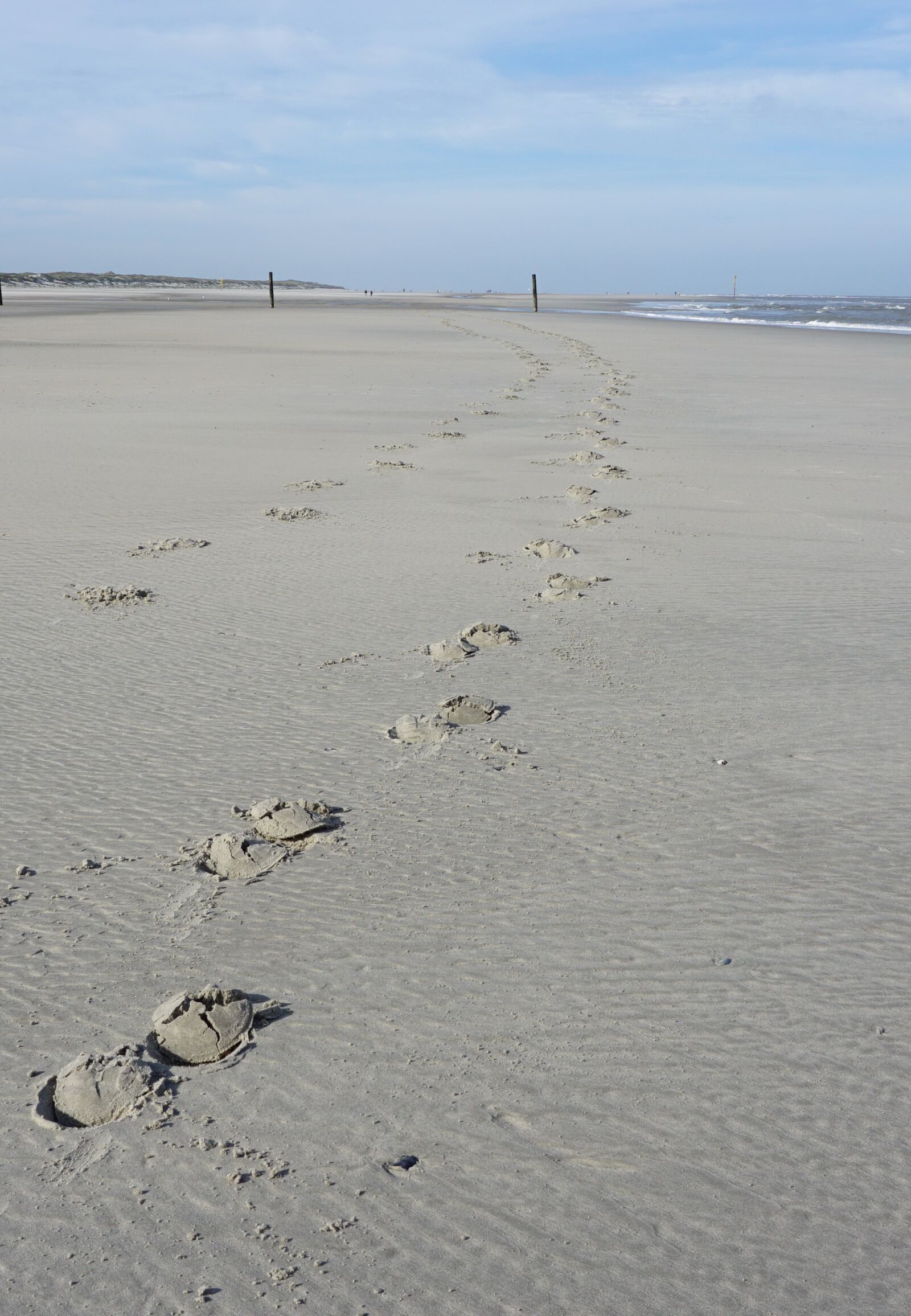 Sony E 16-50mm F3.5-5.6 PZ OSS sample photo. Beach, traces, hoof photography