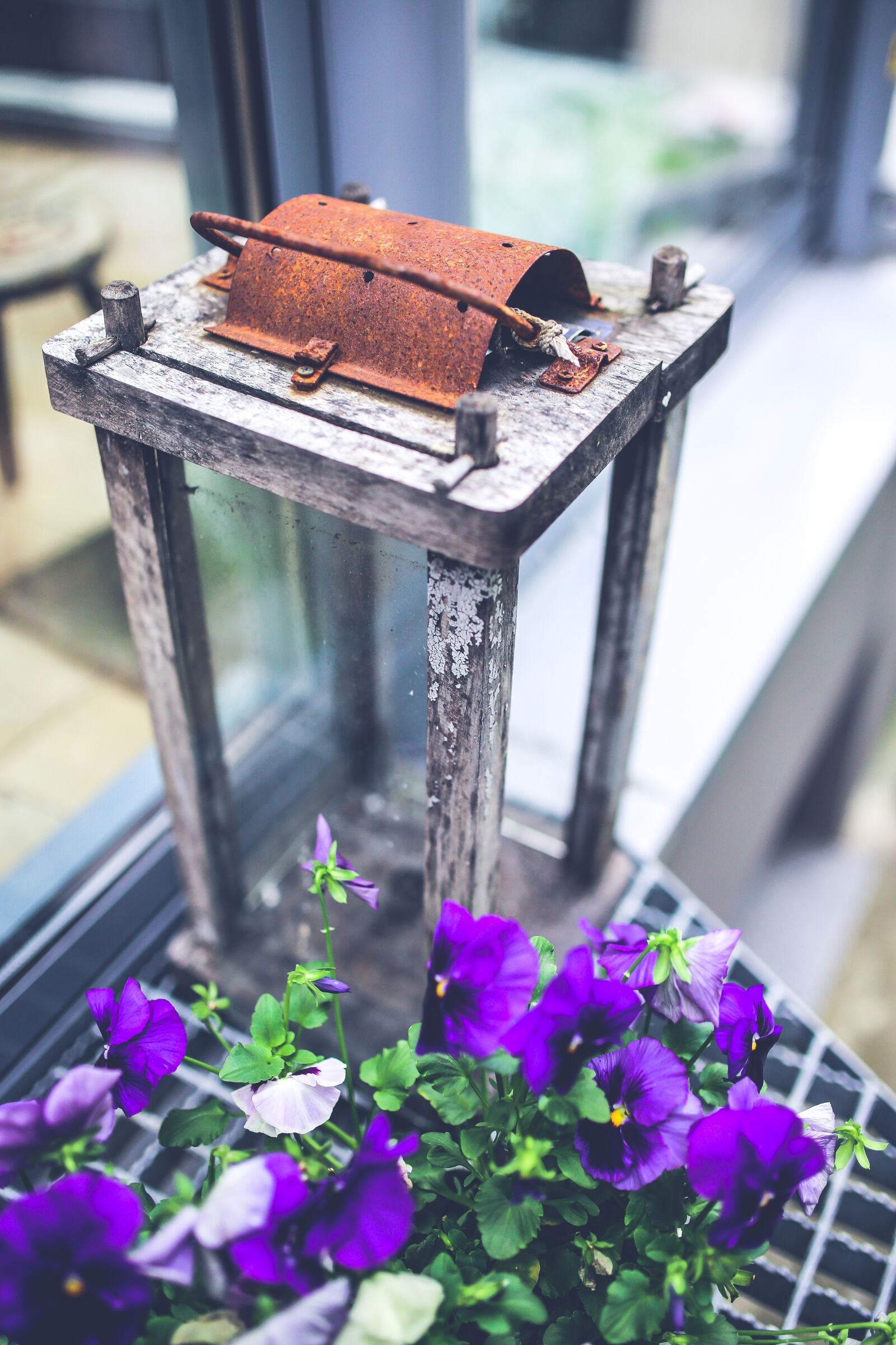 Canon EOS 6D + Sigma 35mm F1.4 DG HSM Art sample photo. Pansies, lantern photography