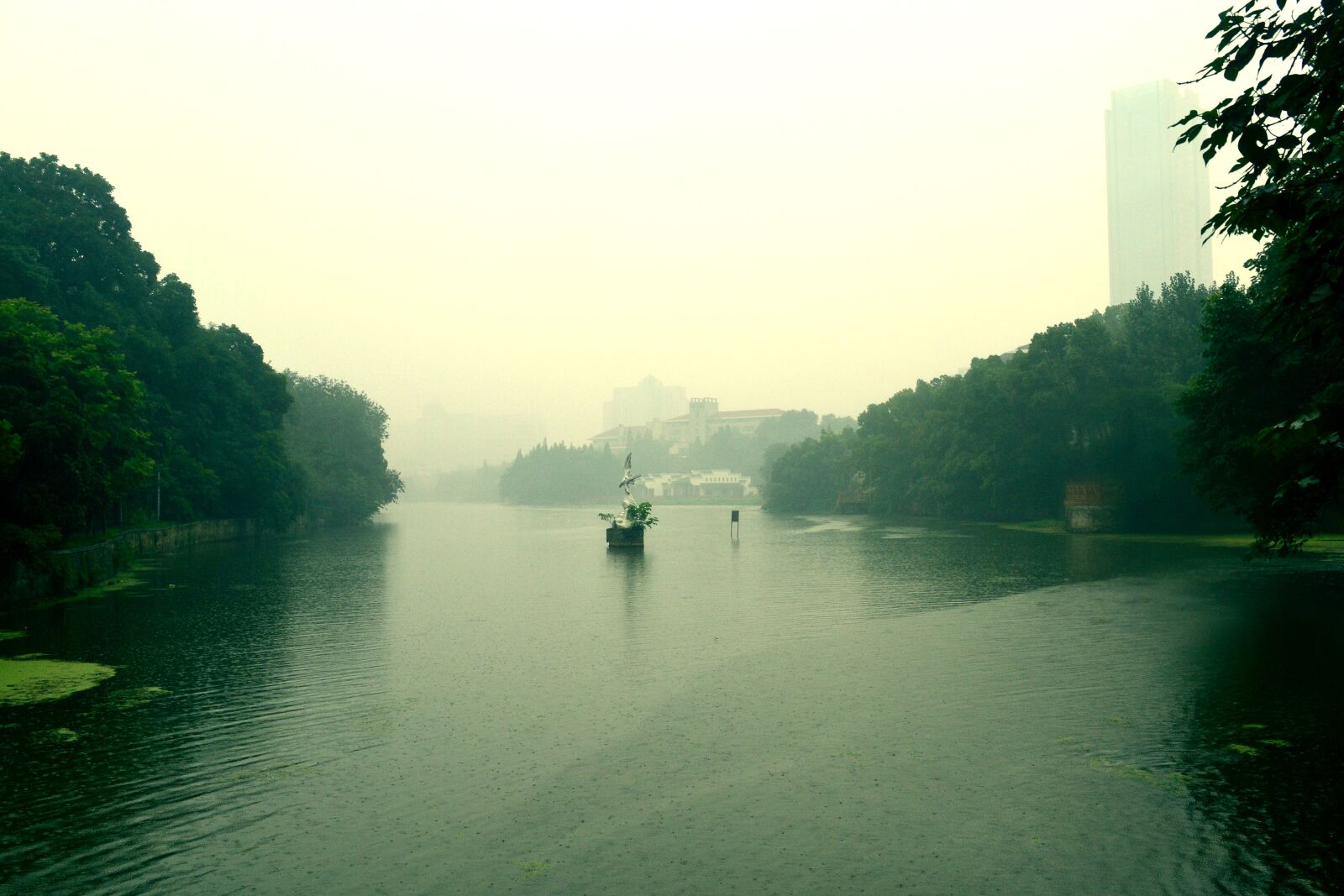 Nikon D3100 sample photo. Summer, anhui hefei, amidst photography