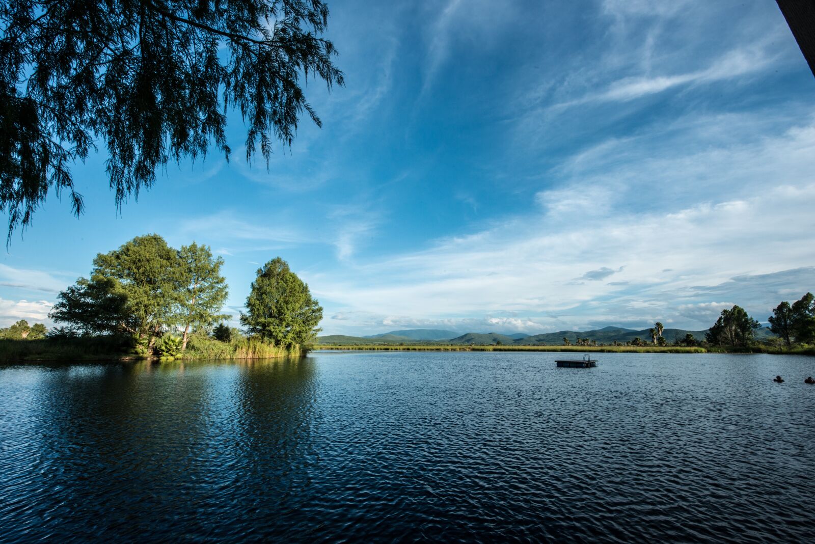 Nikon D800 sample photo. Lake, pond, trees photography