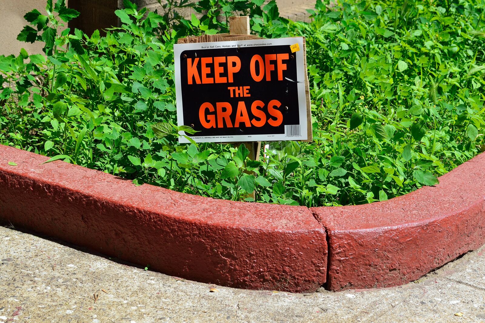 Nikon D3100 sample photo. Keep off grass sign photography