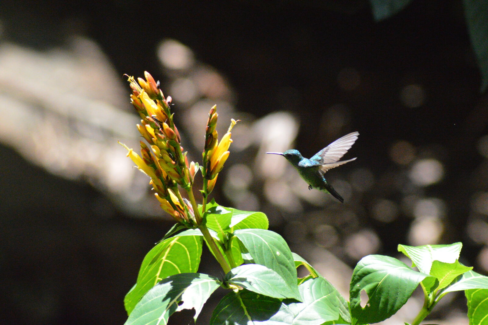 Nikon D3200 sample photo
