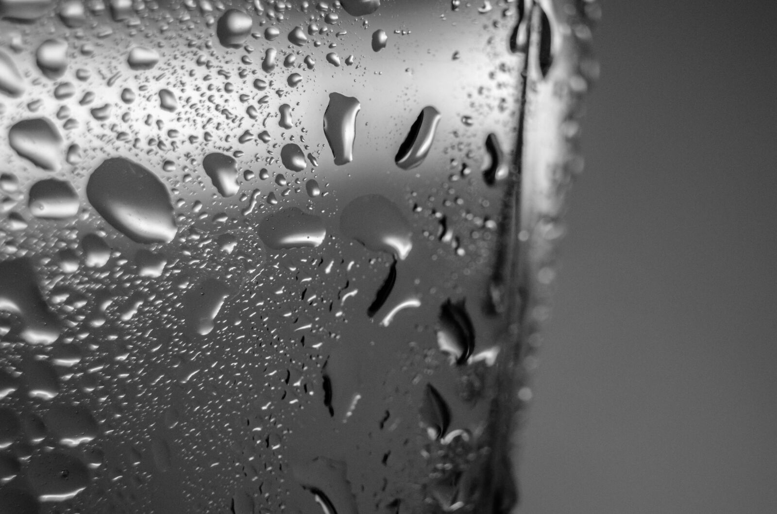 Nikon D5100 sample photo