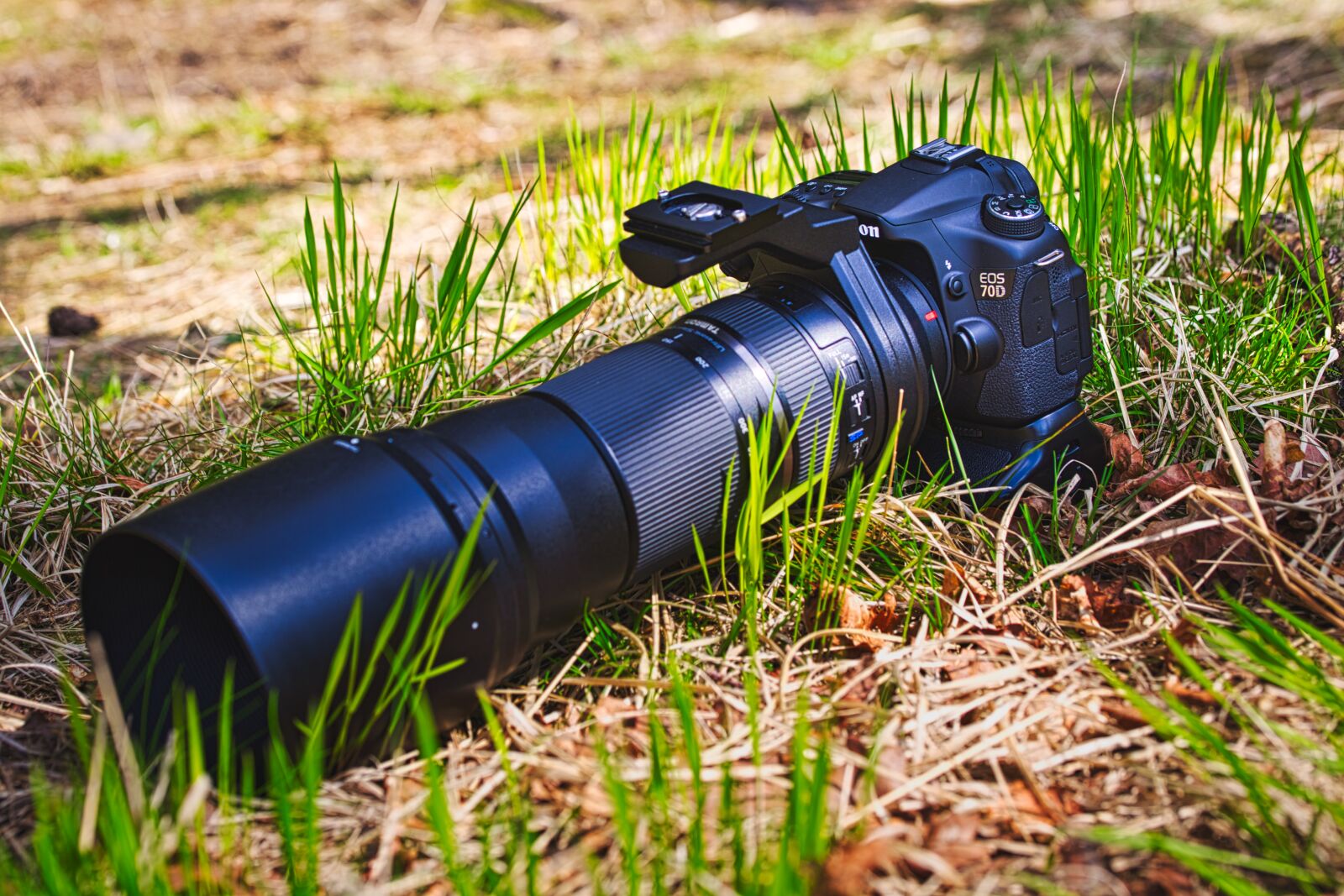 Canon EOS 6D sample photo. Camera, lens, photo photography