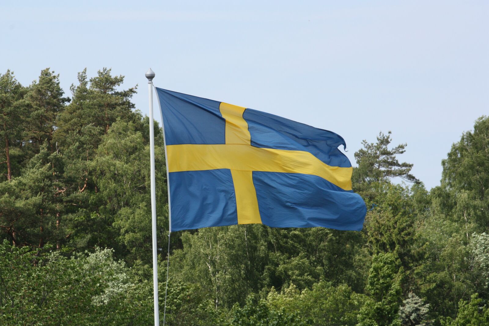 Canon EOS 450D (EOS Rebel XSi / EOS Kiss X2) sample photo. Swedish flag, sweden's flag photography