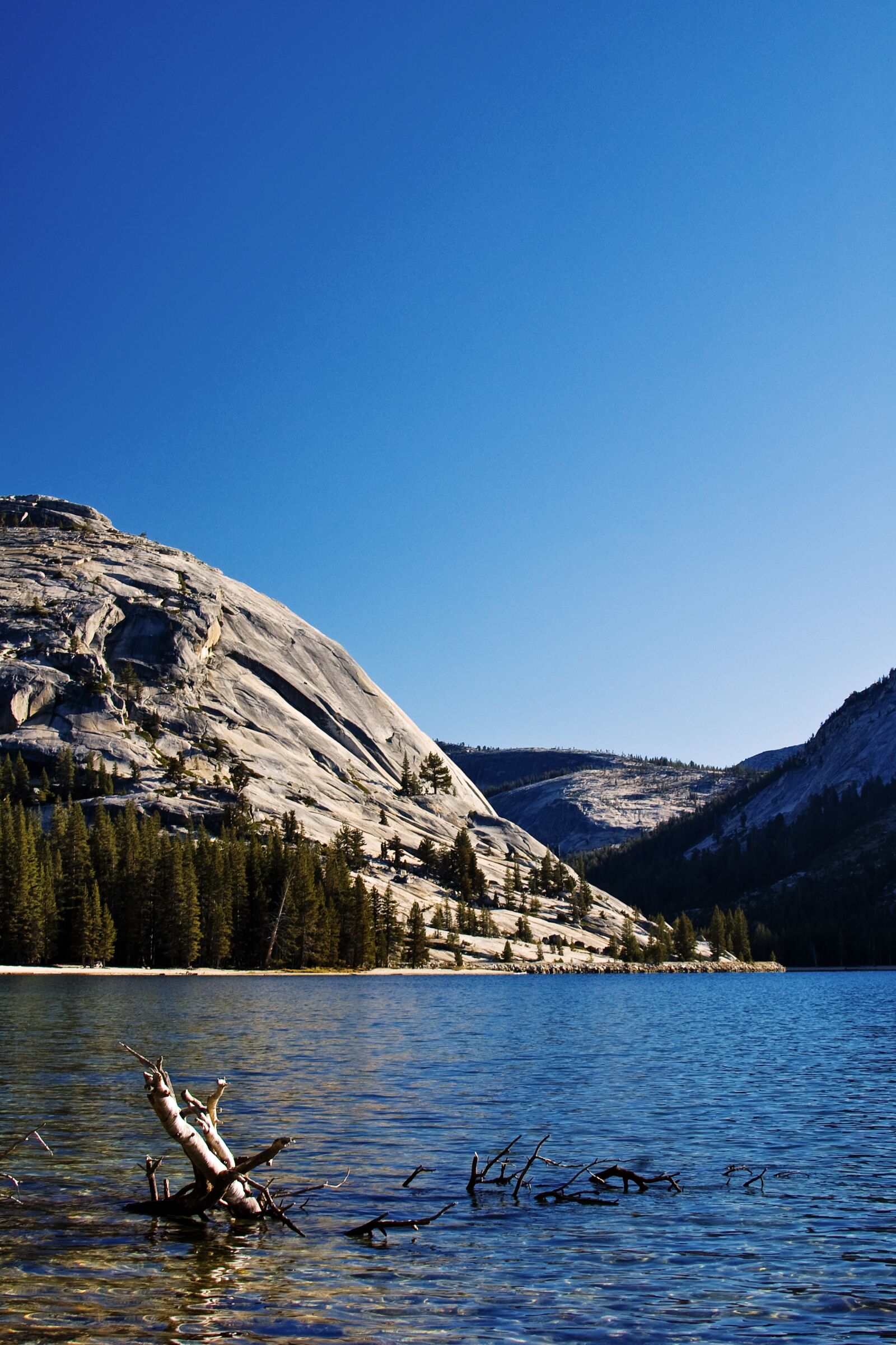 Nikon D50 sample photo. Yosemite, national park, california photography