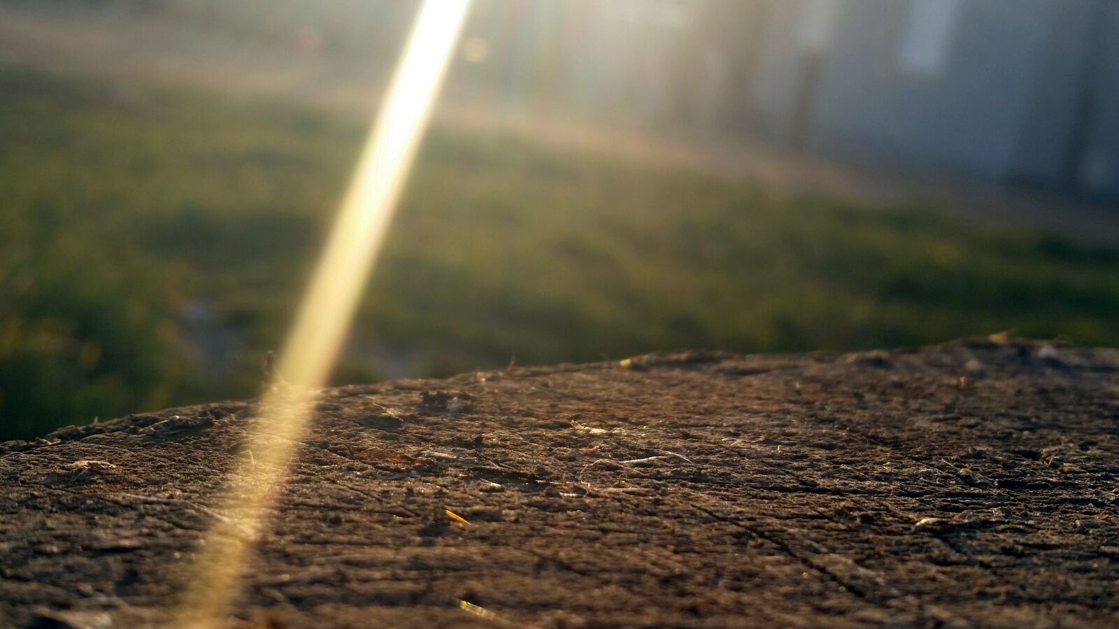 Samsung Galaxy S5 sample photo