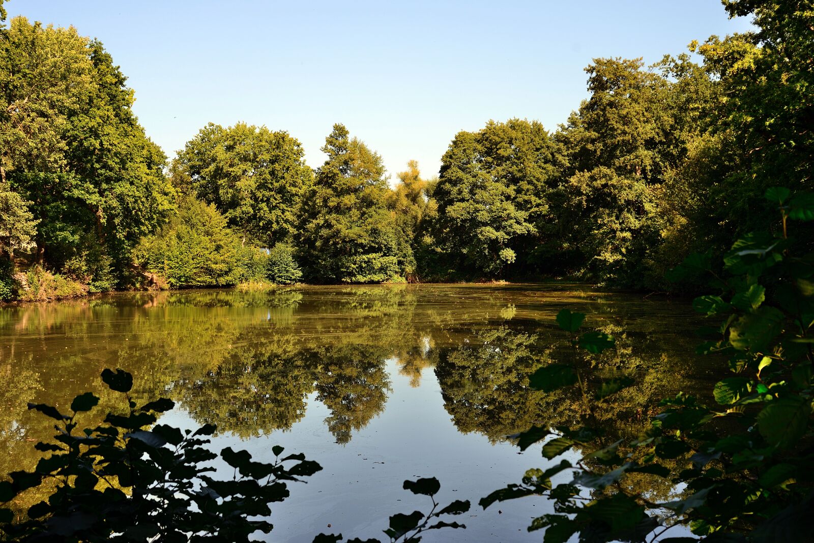 Nikon D610 sample photo. Lake, mirroring, nature photography