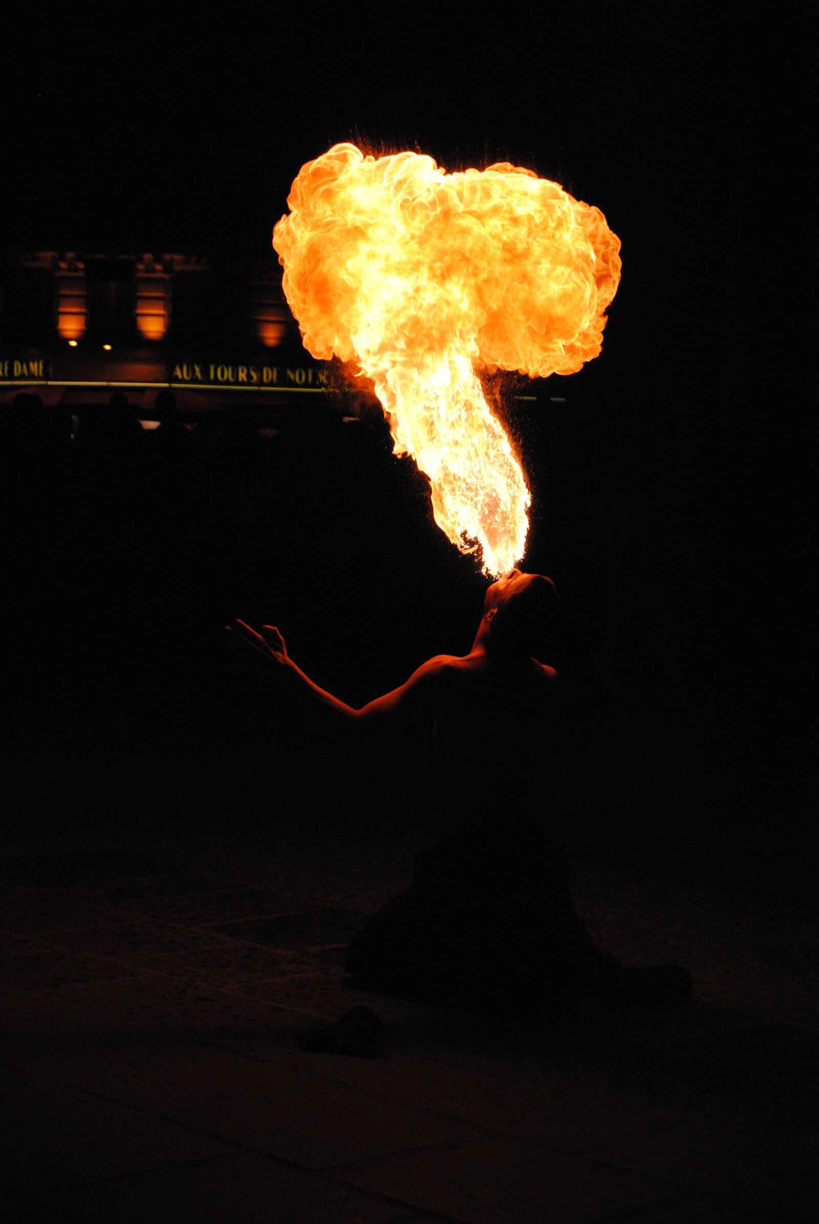 Nikon D3000 sample photo. Artist, fire eaters, show photography