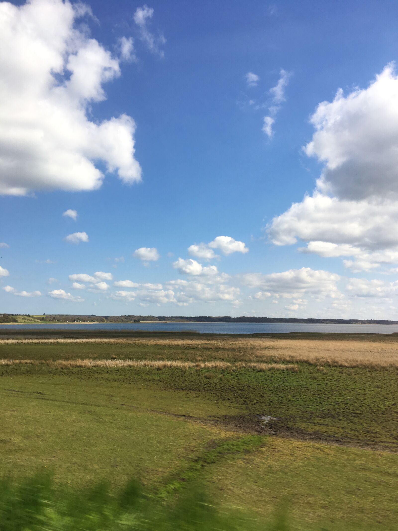 iPhone SE back camera 4.15mm f/2.2 sample photo. Sunny, sol, denmark photography
