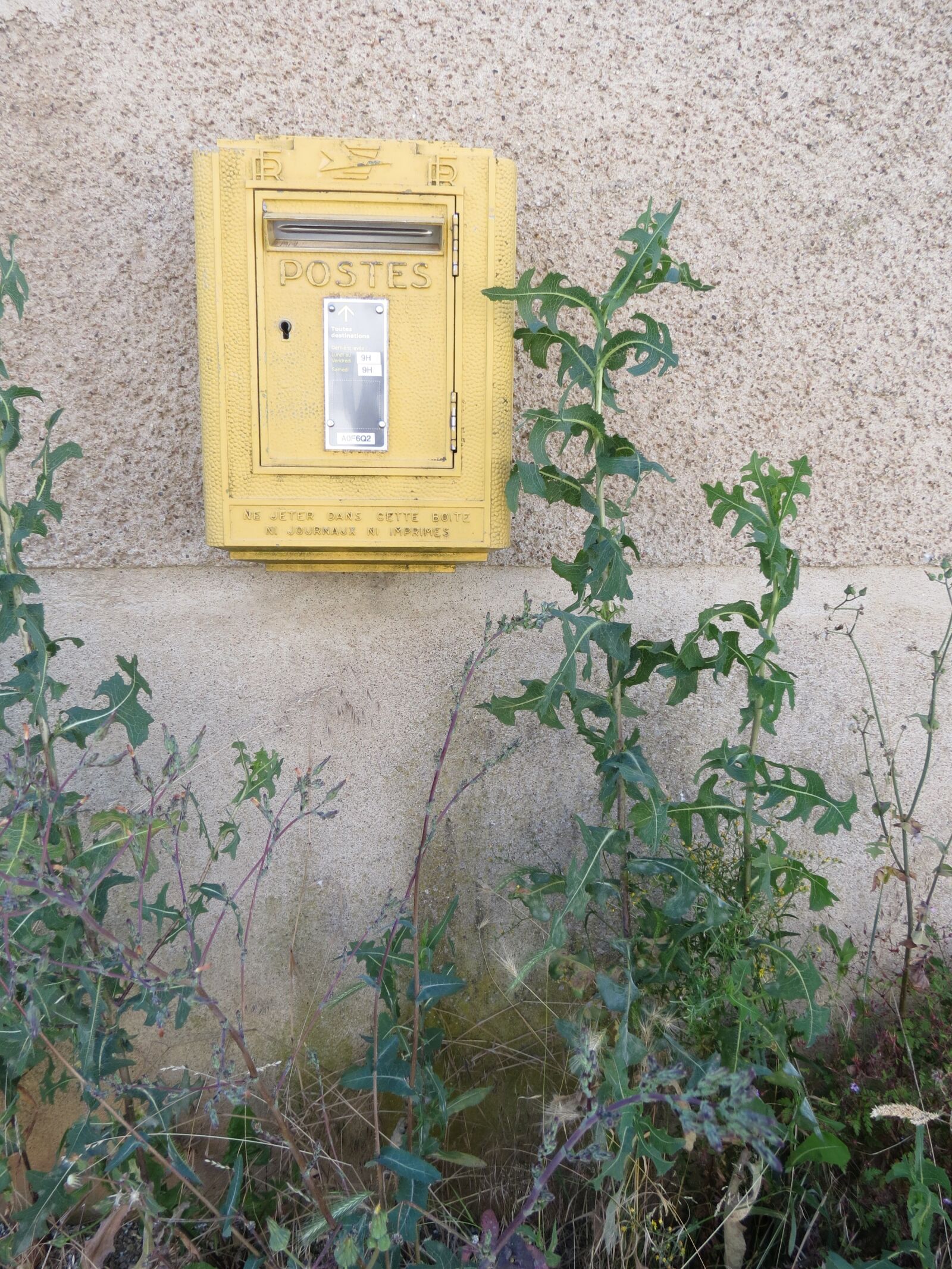 Canon PowerShot SX40 HS sample photo. Box, poster, nature photography