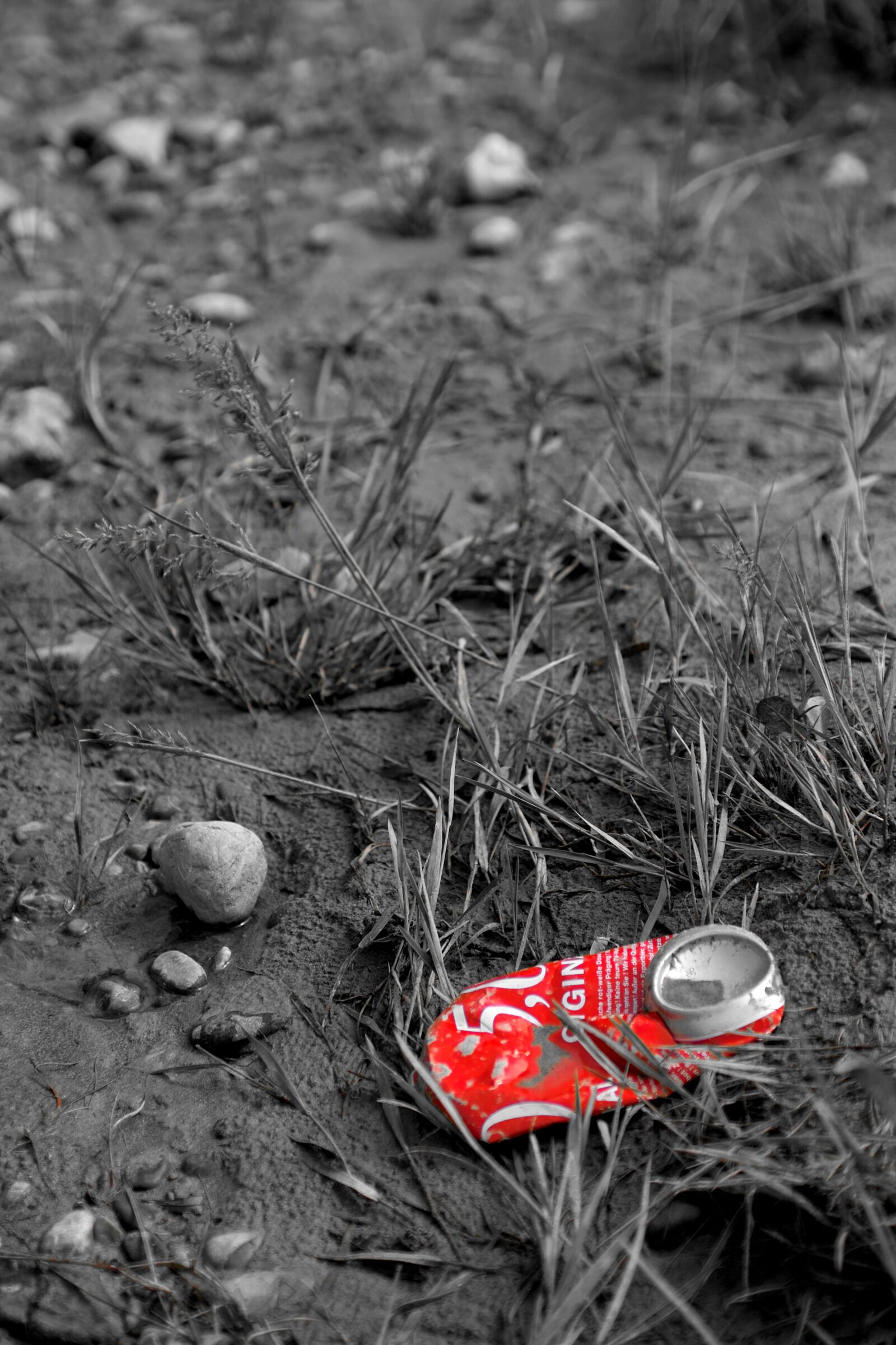Sigma SD14 sample photo. Box, beverage can, garbage photography