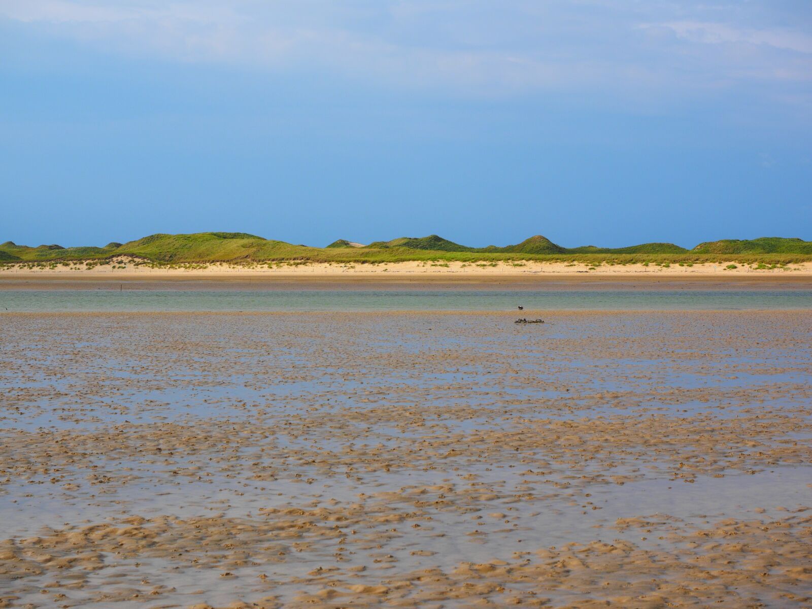 Olympus OM-D E-M1 + Olympus M.Zuiko Digital ED 12-40mm F2.8 Pro sample photo. Priel, watts, wadden sea photography