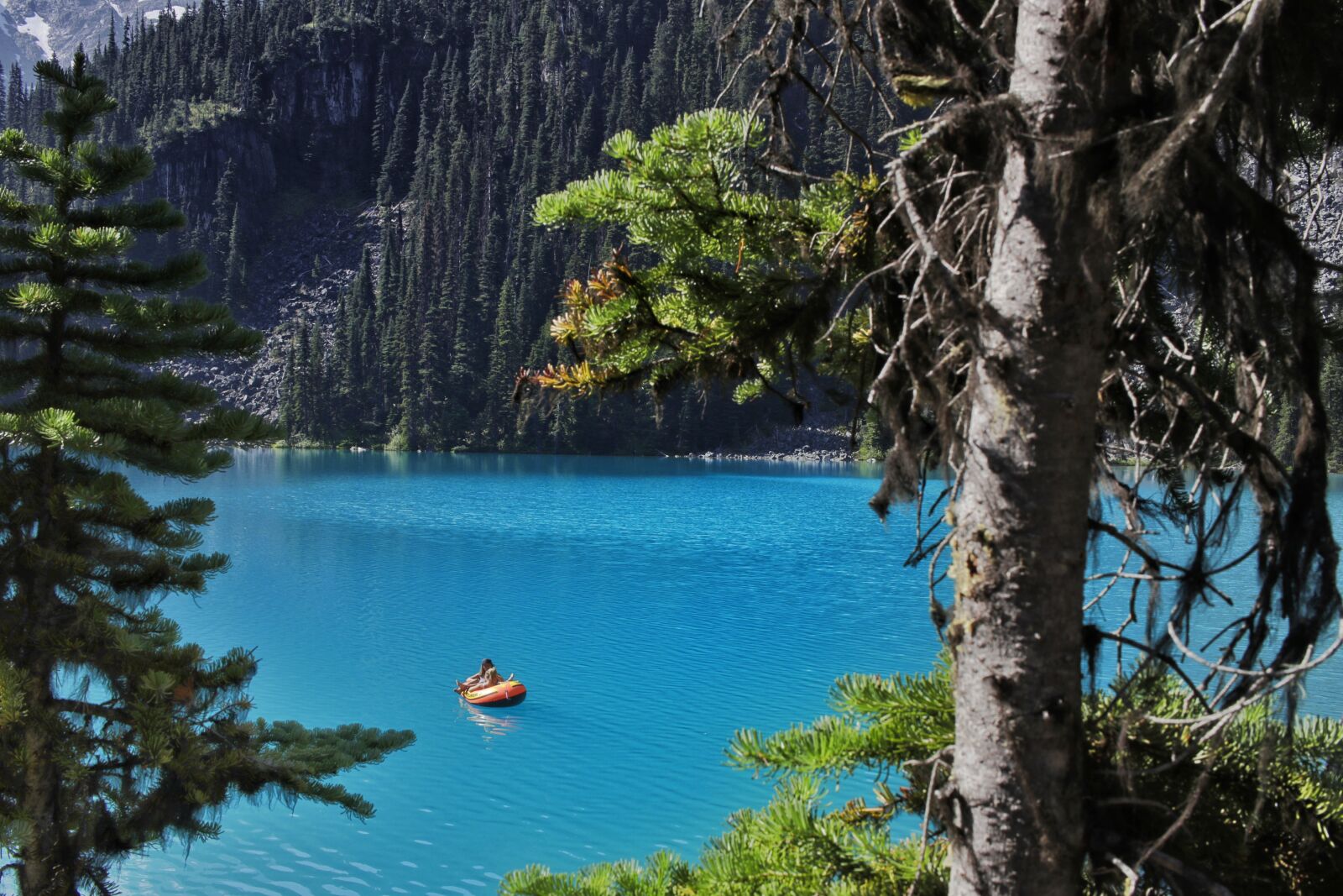 Canon EF-S 24mm F2.8 STM sample photo. Lake, forest, canada photography