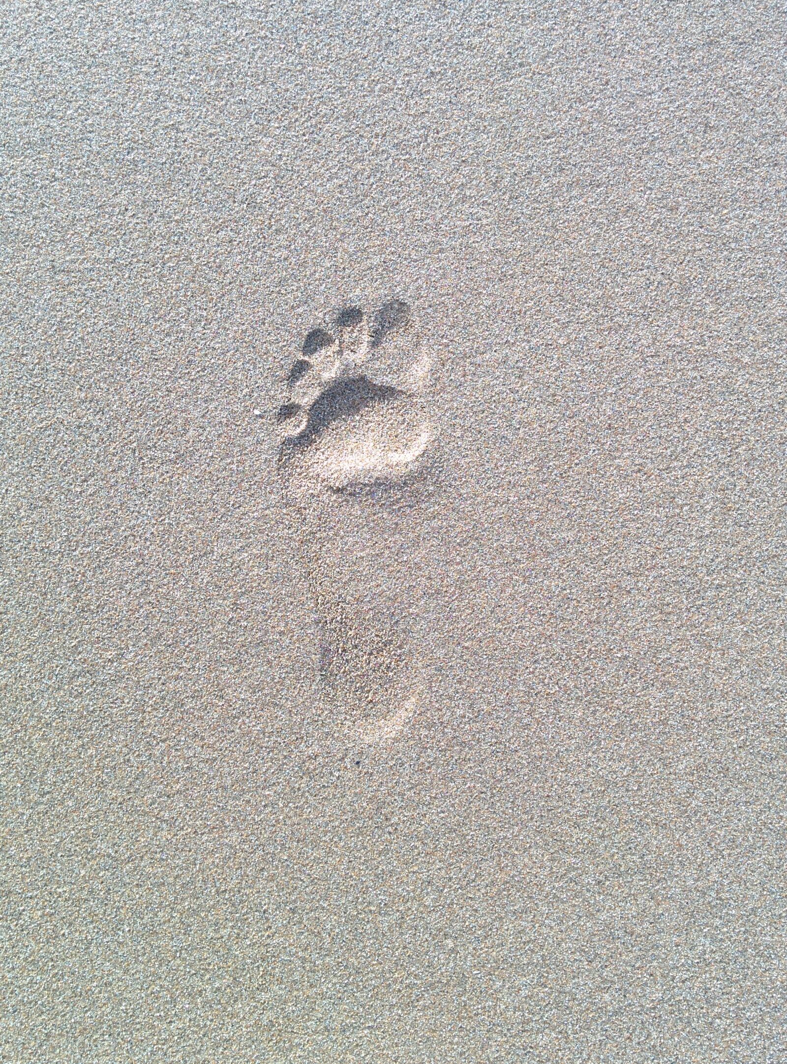 LG Nexus 5 sample photo. Footprint, foot, sand photography