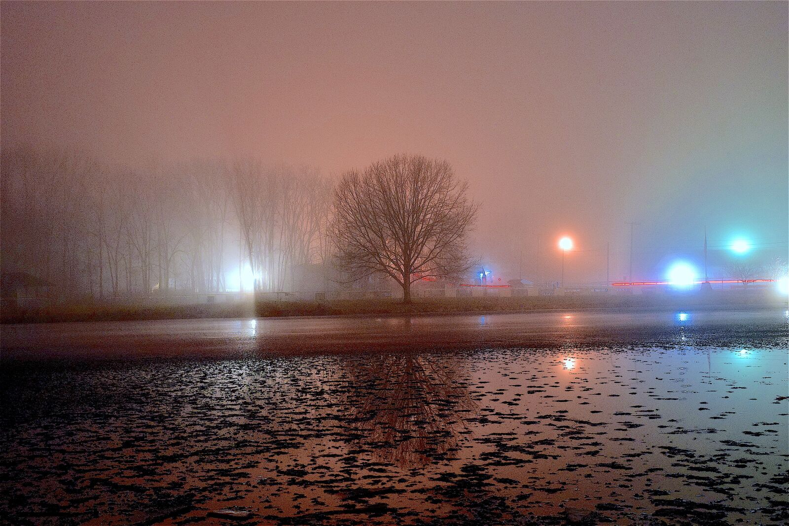 Nikon D3300 sample photo. Fog, night, tree photography