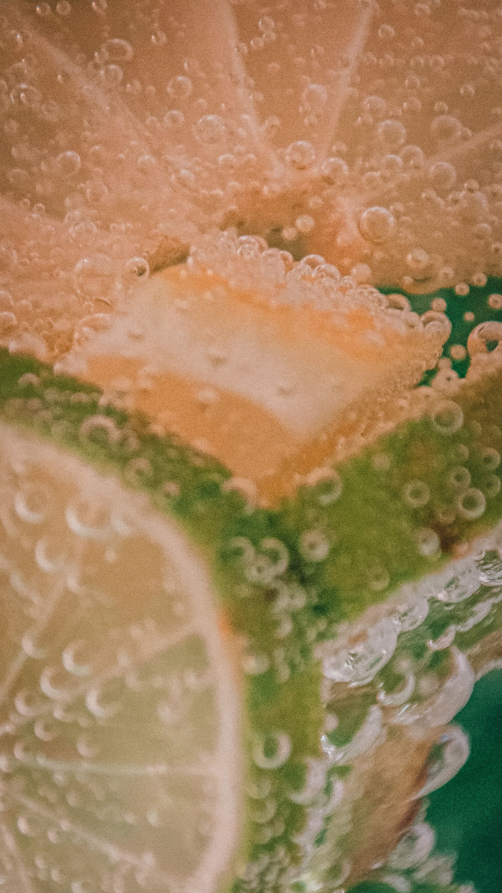 Nikon D5100 sample photo. Lemon, water, green photography