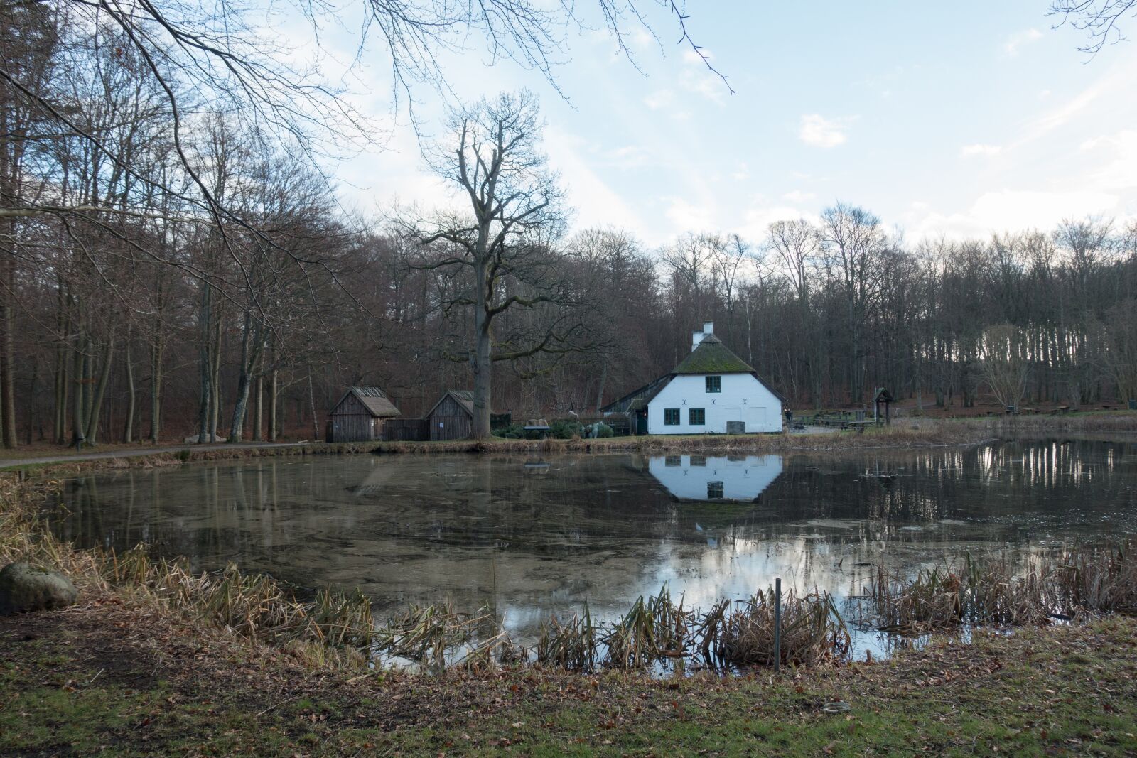 Sony Cyber-shot DSC-RX100 III sample photo. Lake, mill, water mill photography