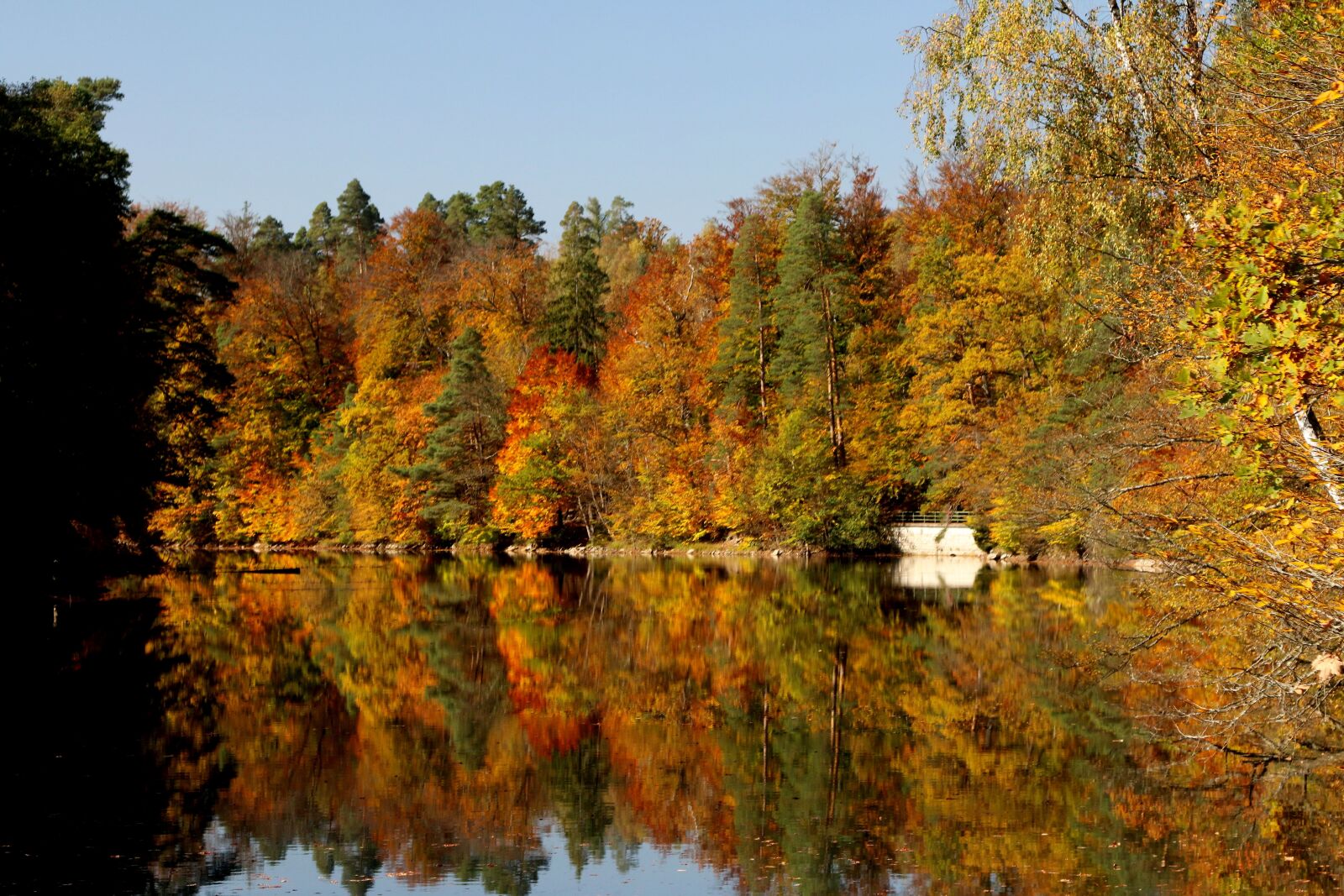 Canon EOS 70D + Canon EF 24-105mm F4L IS USM sample photo. Stuttgart, pfaffenteich lake, bear photography