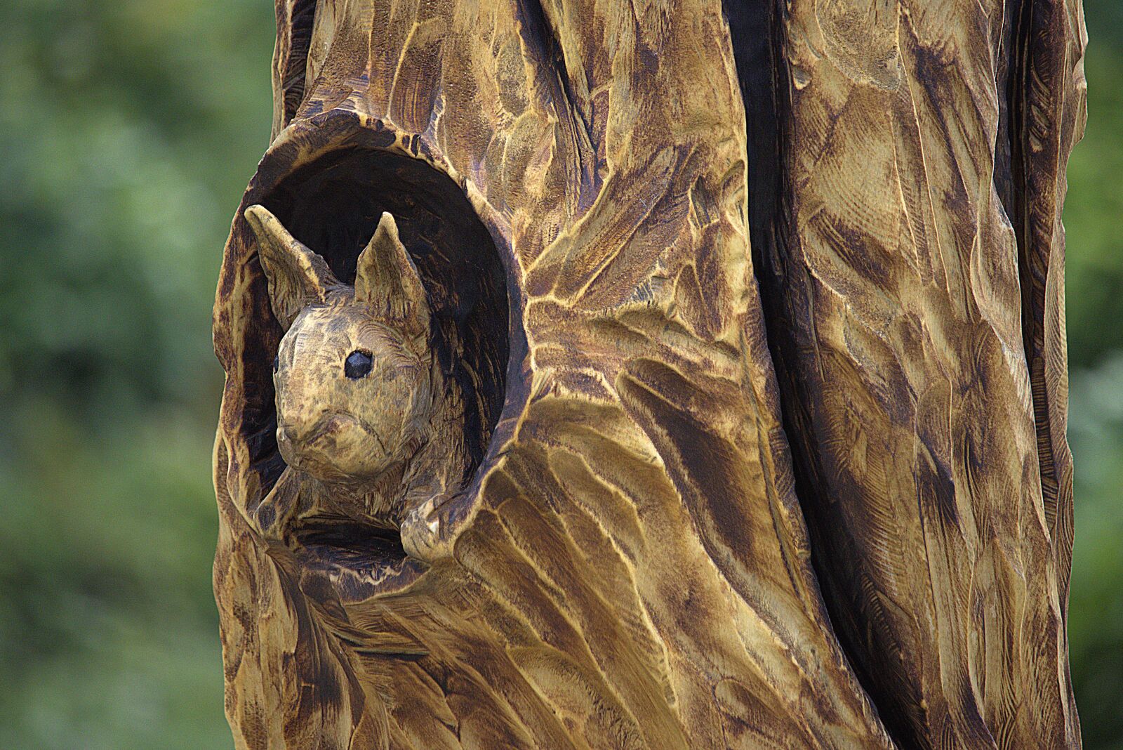 Canon EOS 90D sample photo. Wood carving, squirrel, tree photography
