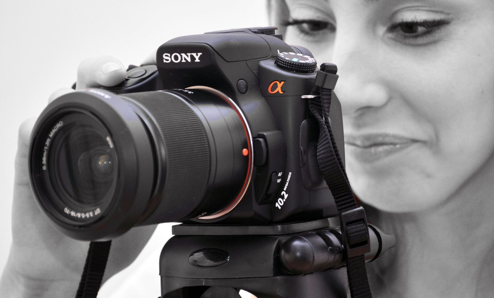 Nikon D90 sample photo. Sony, photographer, camera photography