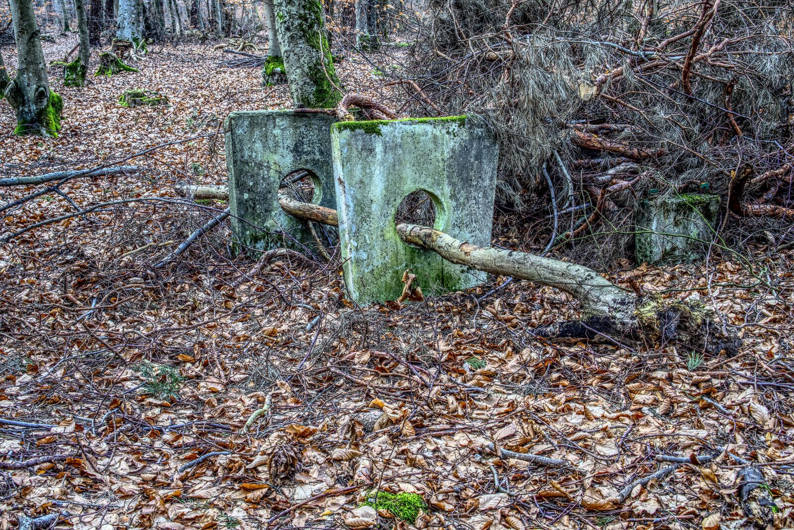 Sony a6000 + Sony E 35mm F1.8 OSS sample photo. Bank, broken, destroyed photography