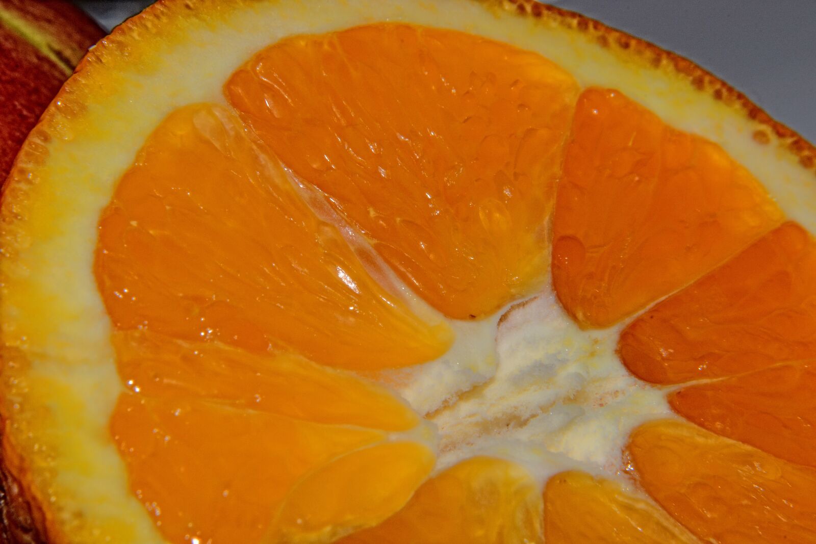 Nikon D3100 sample photo. Orange, pulp photography