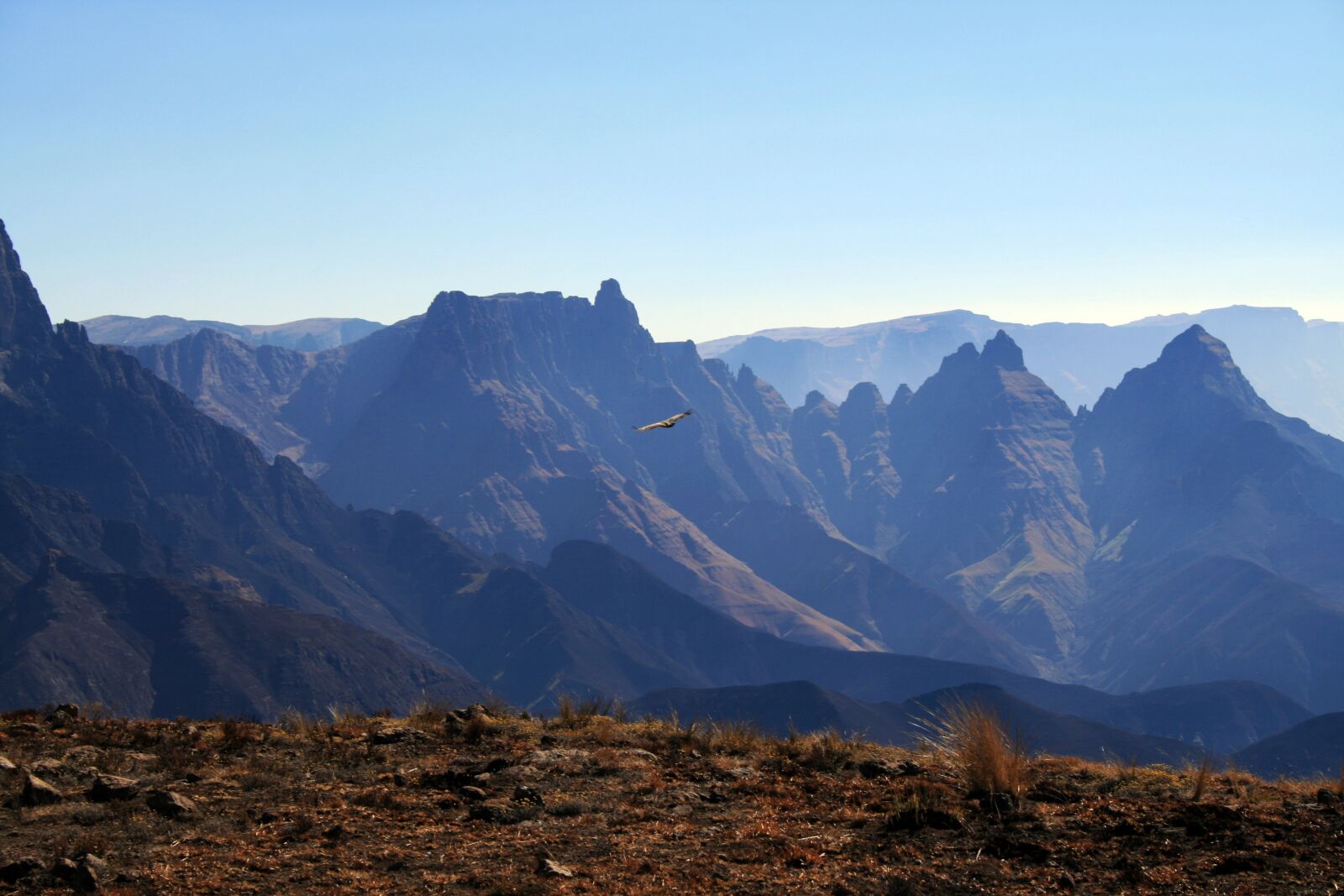 Canon EOS 400D (EOS Digital Rebel XTi / EOS Kiss Digital X) sample photo. South africa, cathedral peak photography