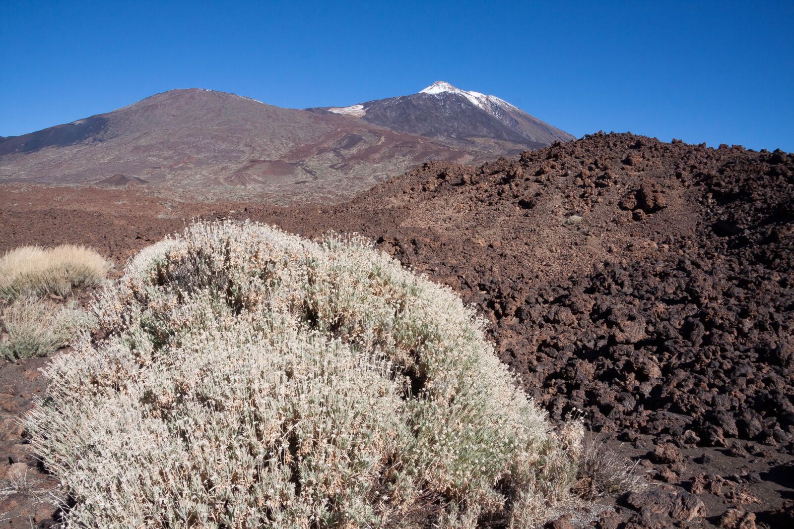 Canon EF-S 17-85mm F4-5.6 IS USM sample photo. Teide, volcano, mountain photography