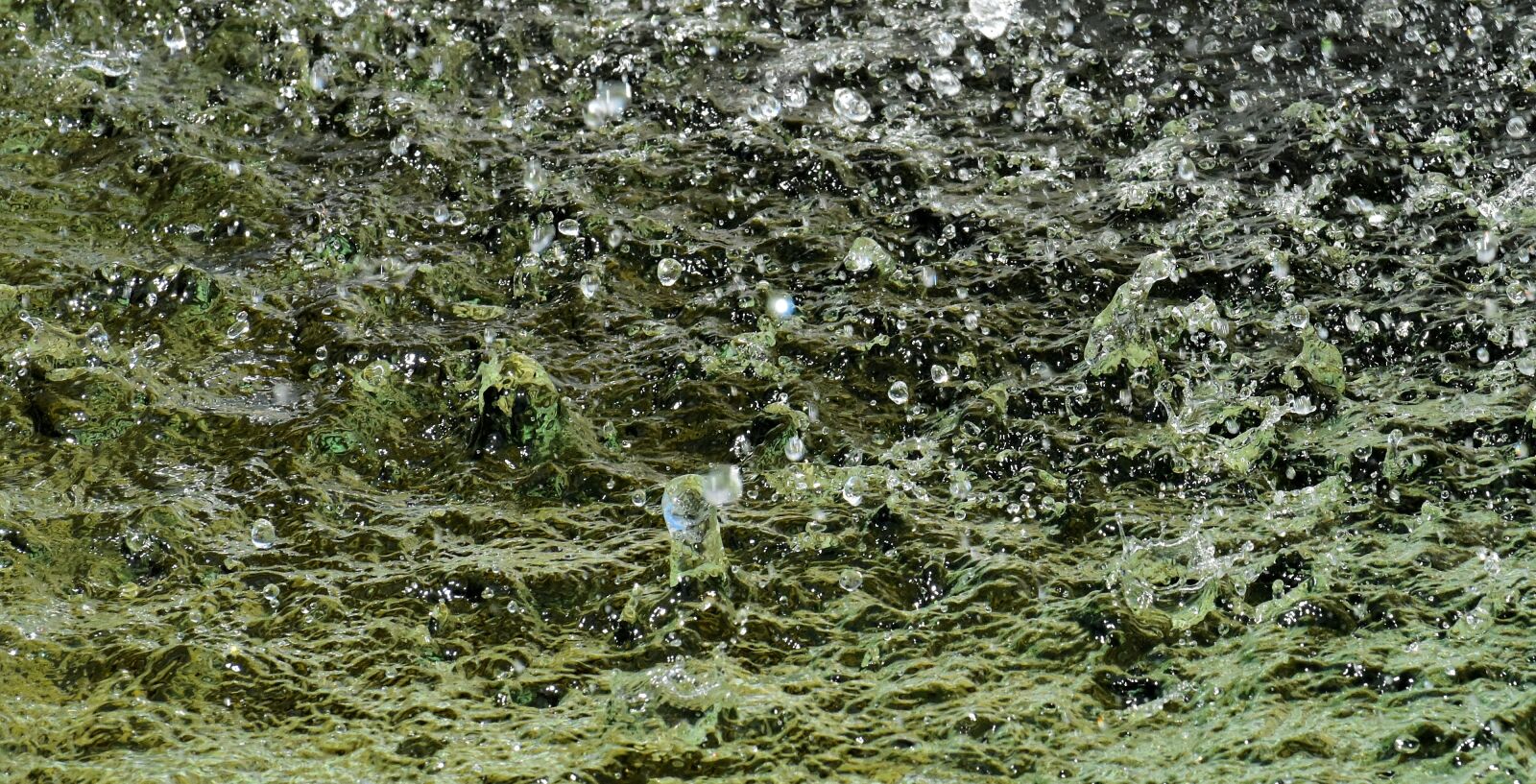 Nikon D7200 sample photo. Water splashes, drop of photography