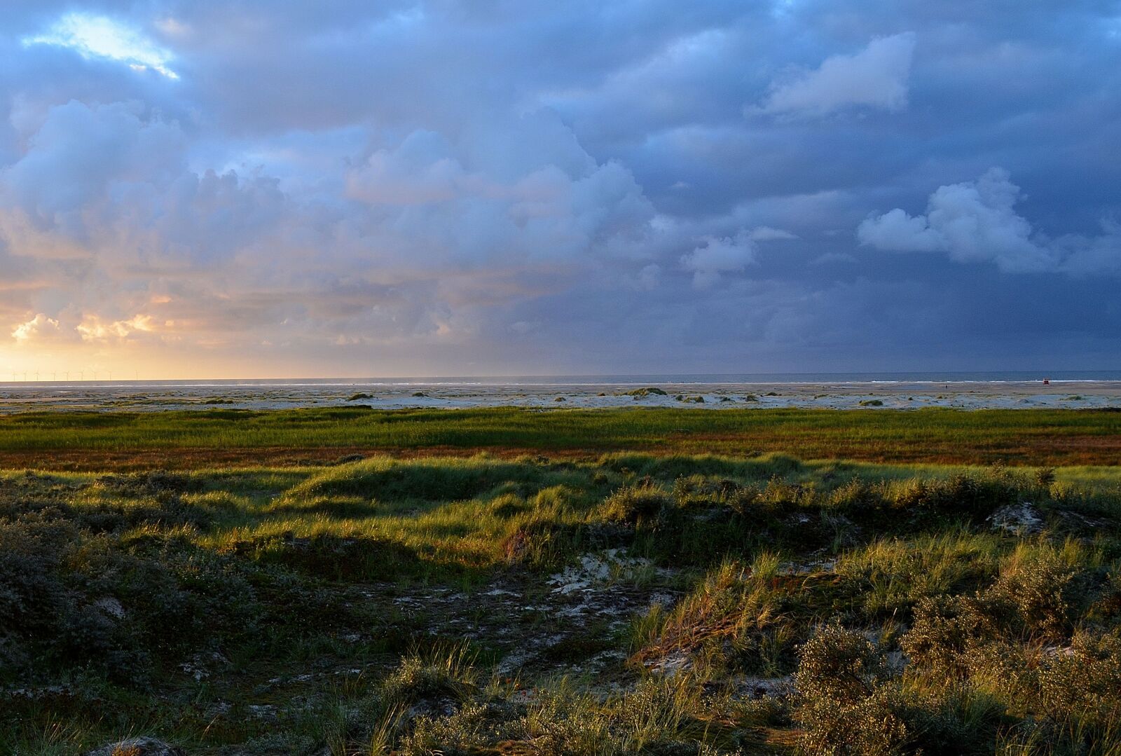 Nikon D5100 sample photo. Mood, beach, coast photography