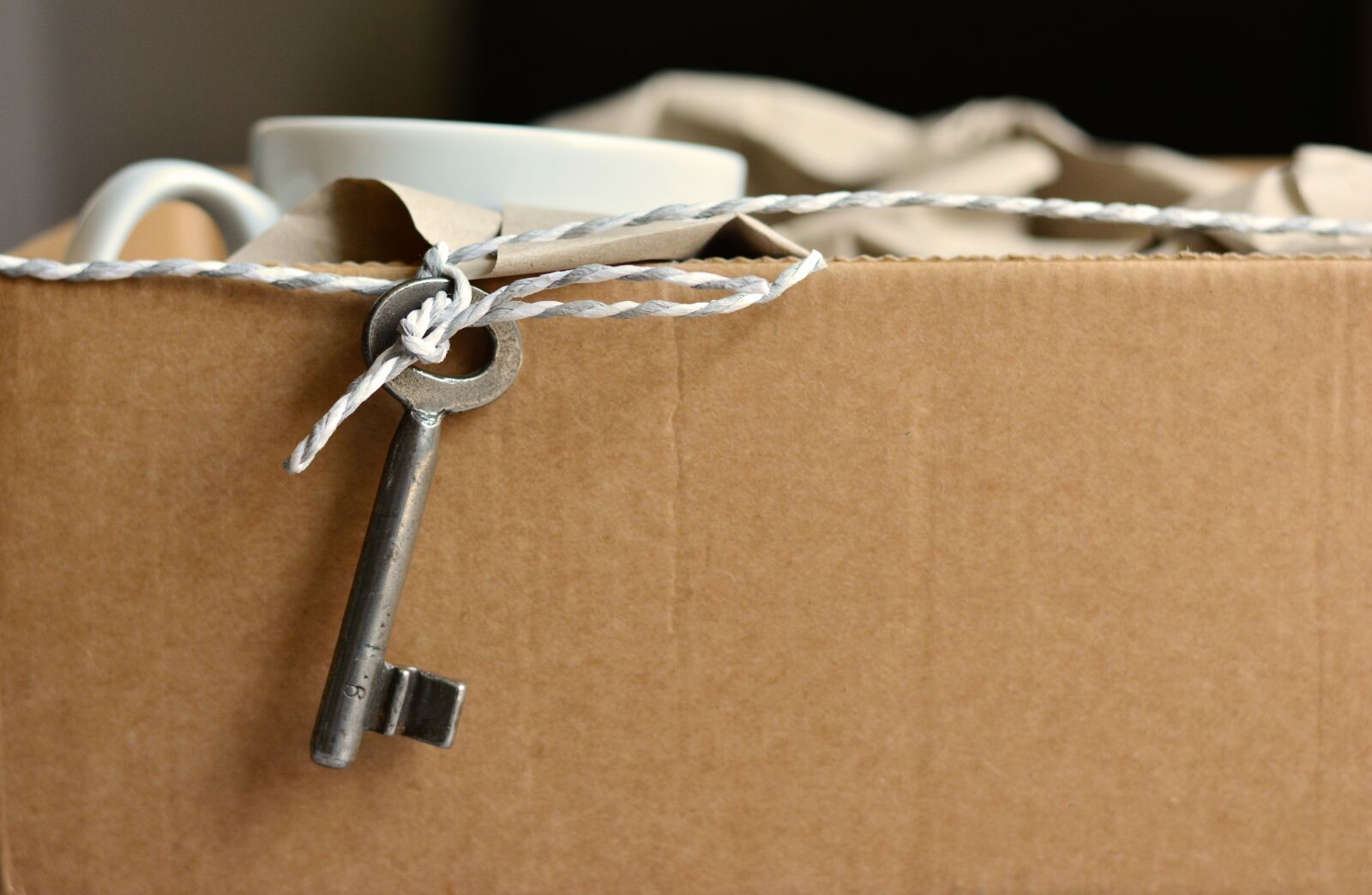 Nikon D5200 sample photo. Move, key, new apartment photography