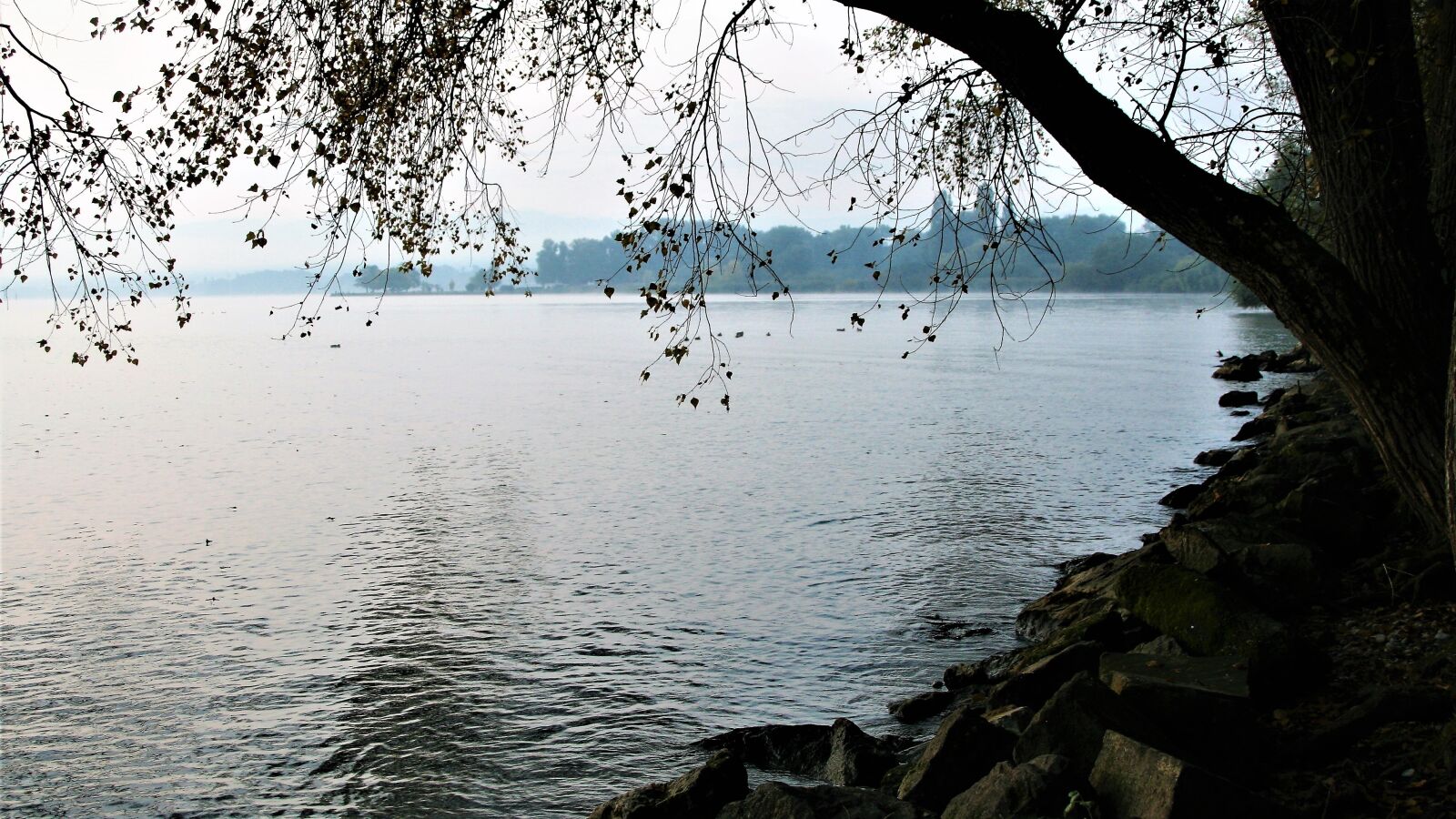 Canon EOS 400D (EOS Digital Rebel XTi / EOS Kiss Digital X) sample photo. Morning, lake, beach photography
