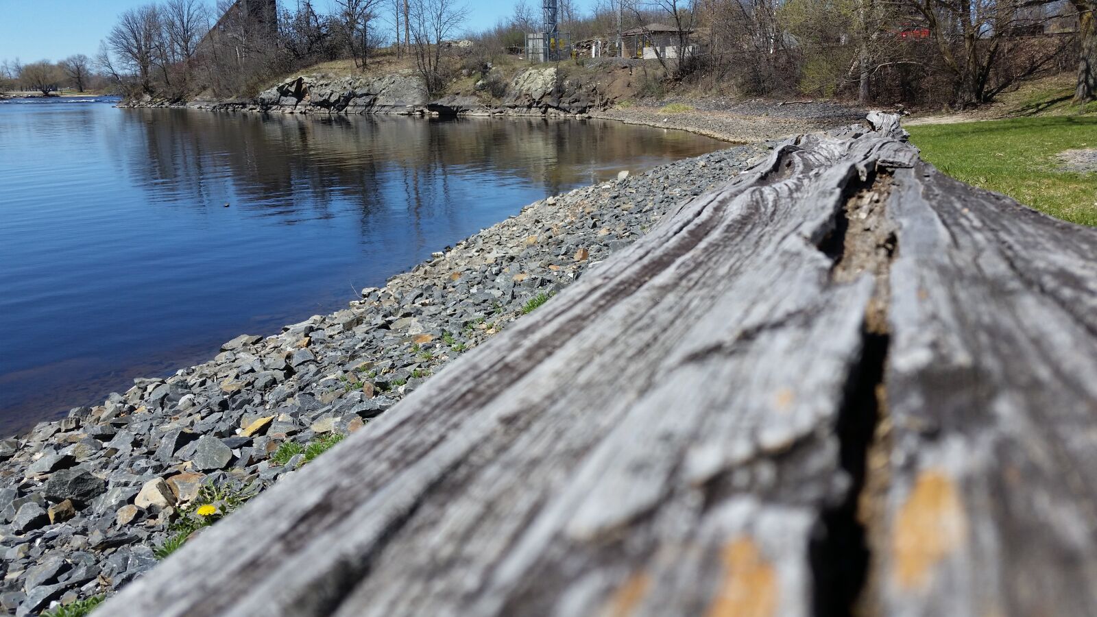 Samsung Galaxy S5 sample photo. Driftwood, lake, aged photography