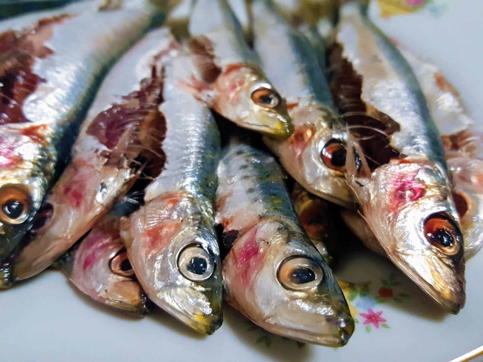 Samsung Galaxy S6 sample photo. Seafood, fish, food photography