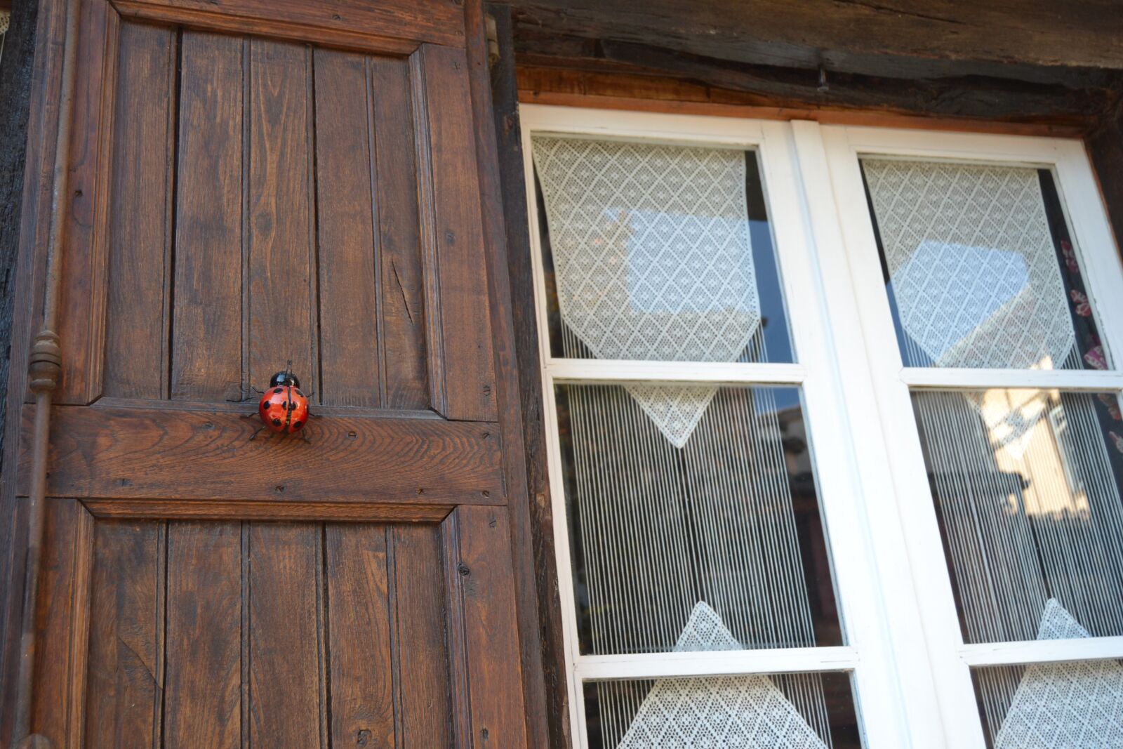 Nikon D3100 sample photo. Window, ladybug, wood photography