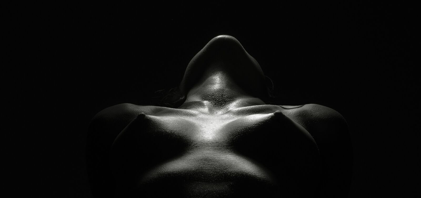Nikon D800E sample photo. Nature, dark, abstract photography