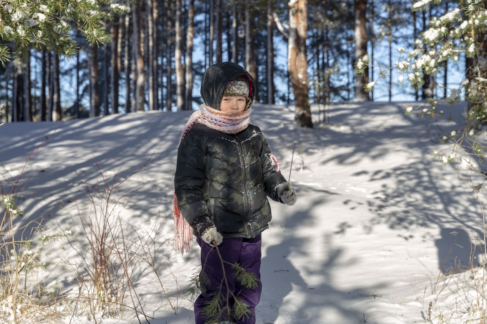 Canon EF 24-70mm F2.8L II USM sample photo. Winter, sestroretsk, february photography