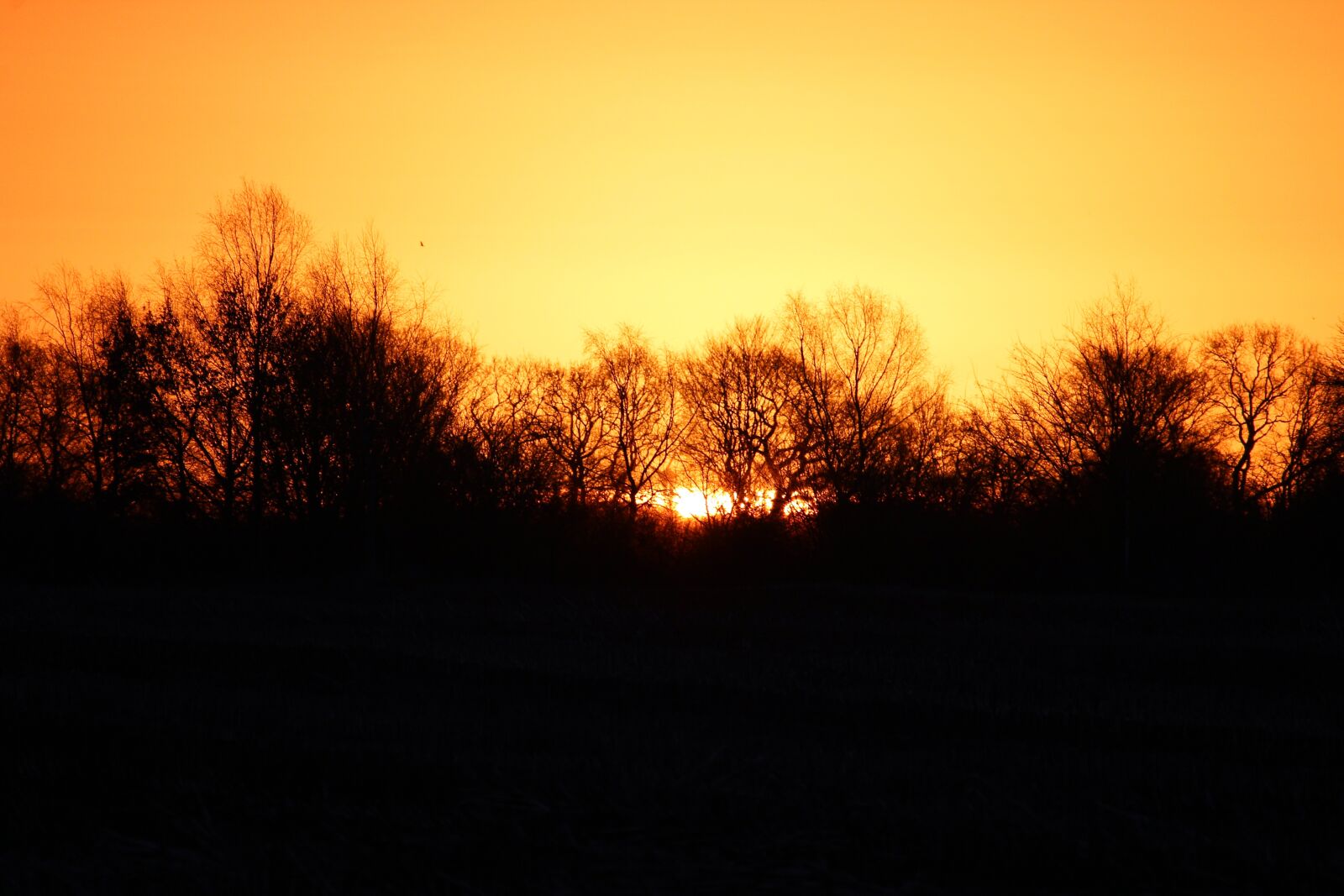 Canon EOS 1200D (EOS Rebel T5 / EOS Kiss X70 / EOS Hi) sample photo. Morgenrot, sunrise, nature photography