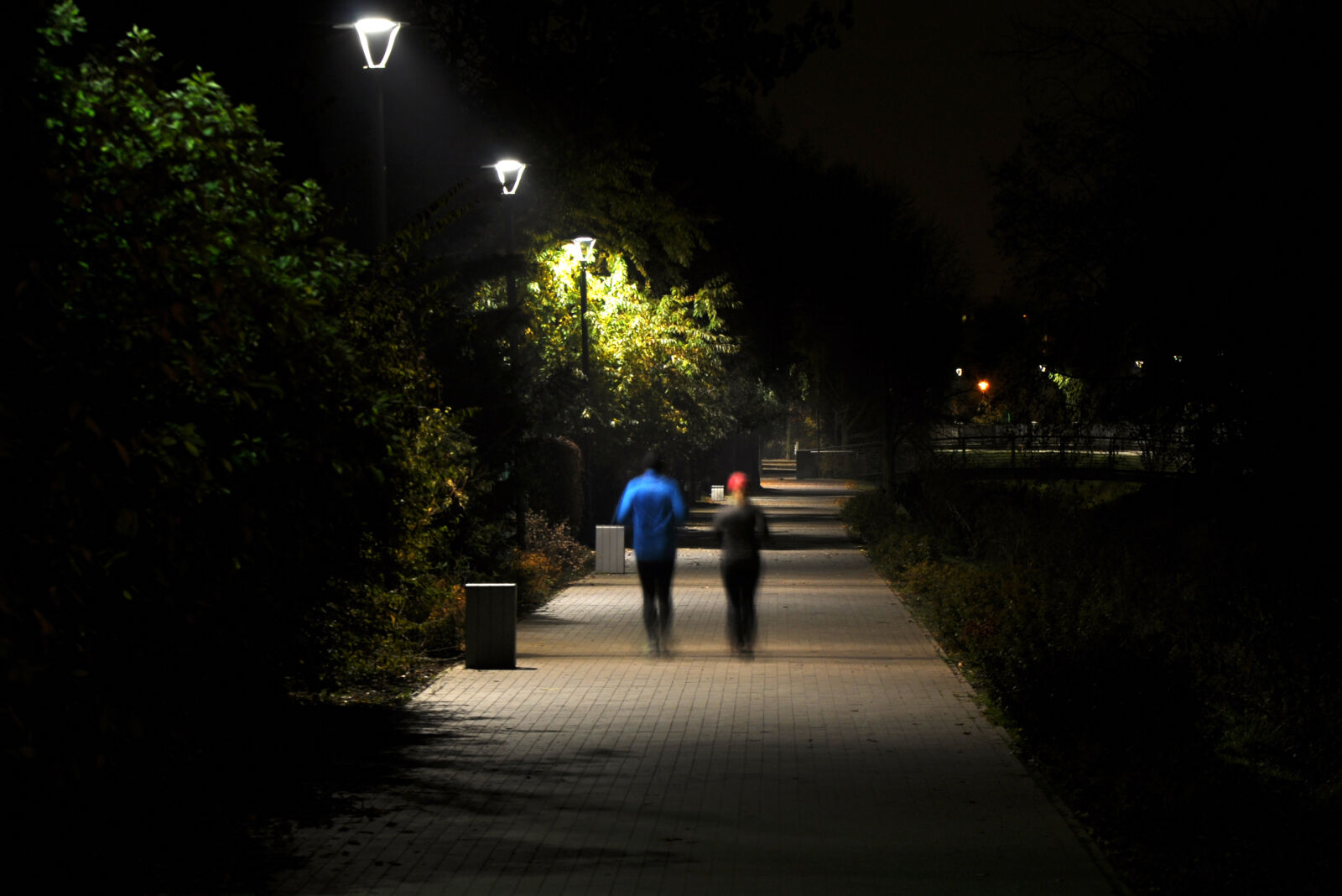 Nikon D90 sample photo