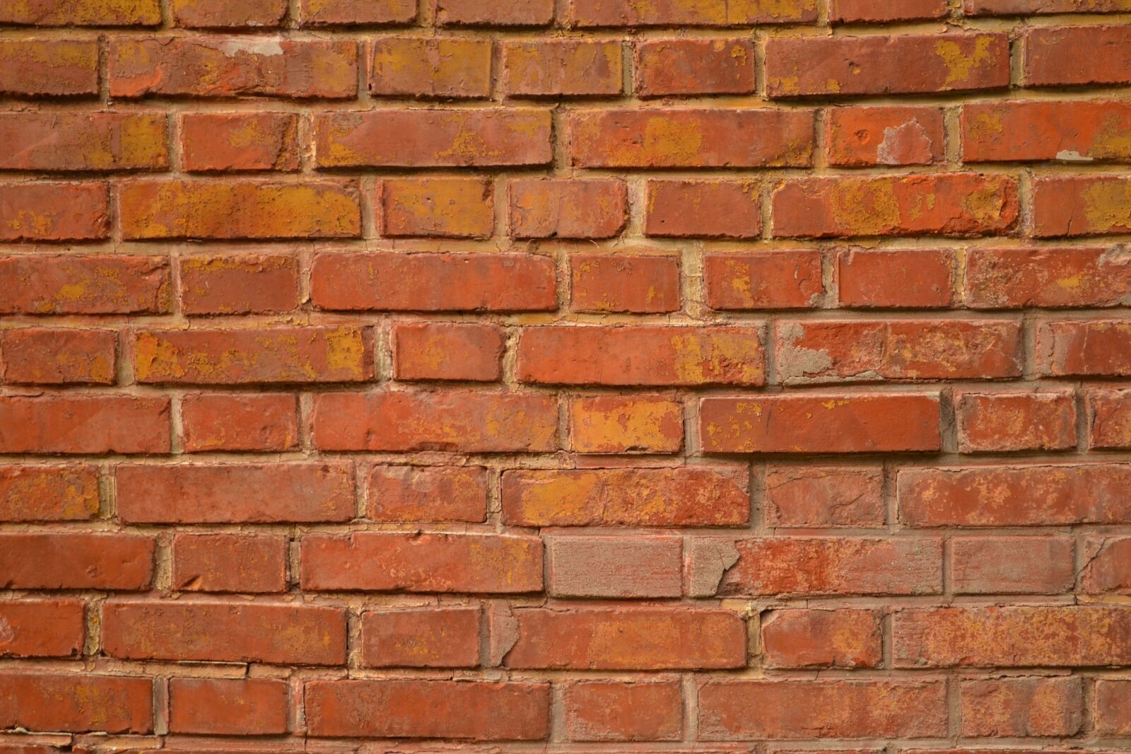 Nikon D3100 sample photo. Brick wall, red, bricks photography