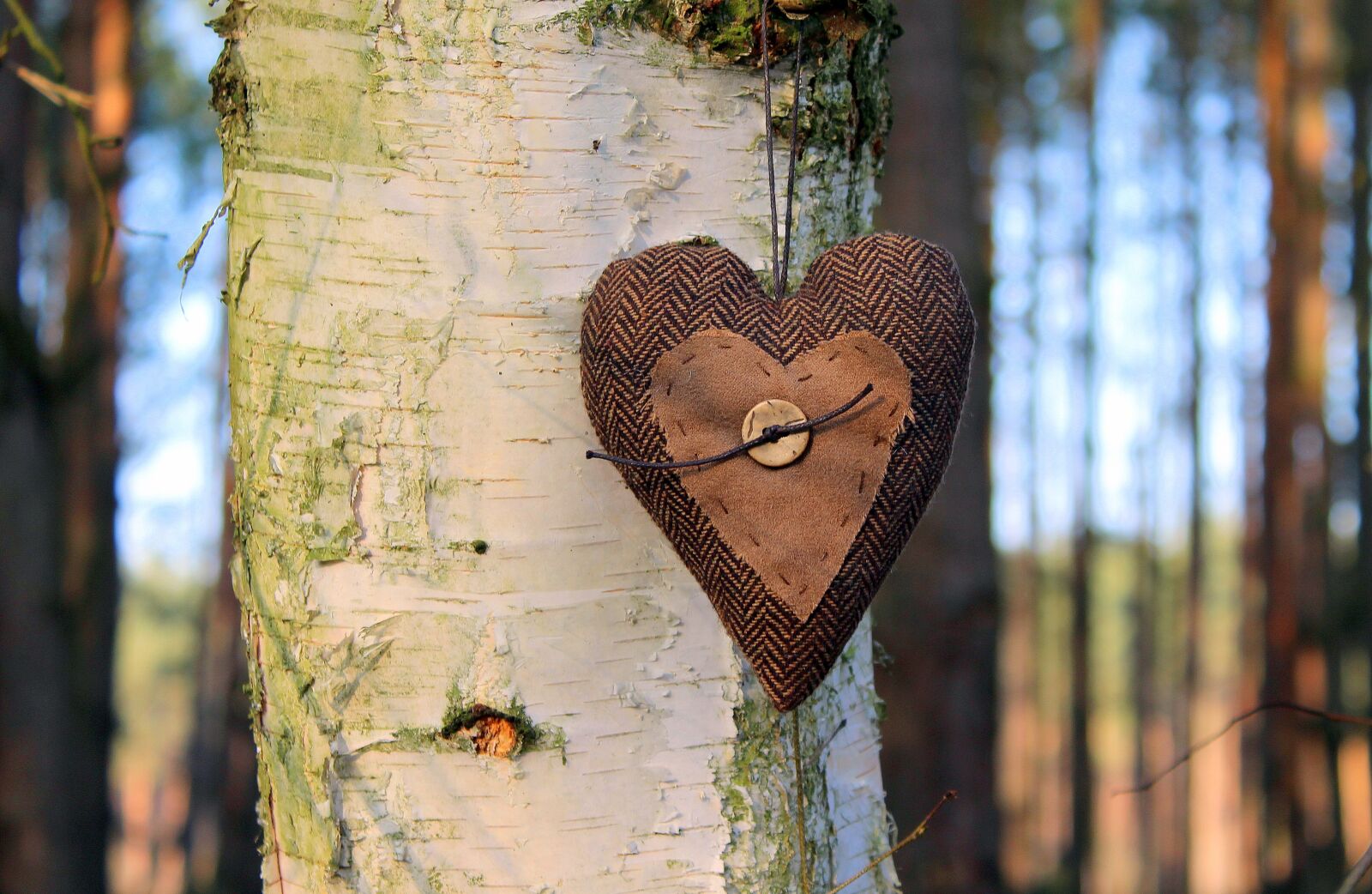 Canon EOS 1200D (EOS Rebel T5 / EOS Kiss X70 / EOS Hi) sample photo. Heart, emotions, valentine's day photography