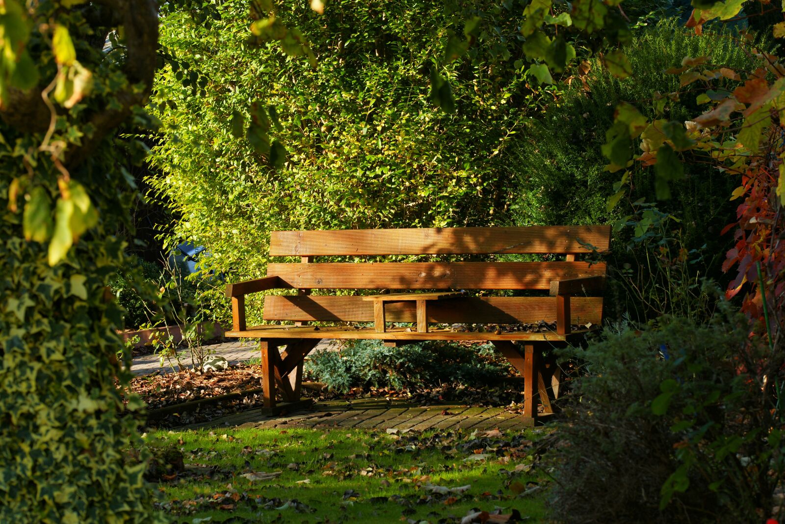 Sony Alpha DSLR-A900 sample photo. Garden bench, autumn, wooden photography