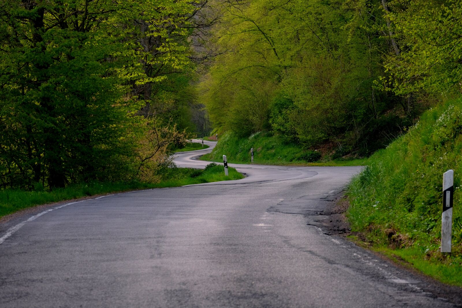 Fujifilm X-T20 sample photo. Road, curve, route photography