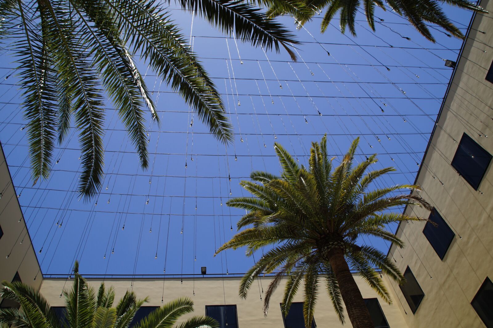 Sony SLT-A58 sample photo. Courtyard, sky, vacations photography